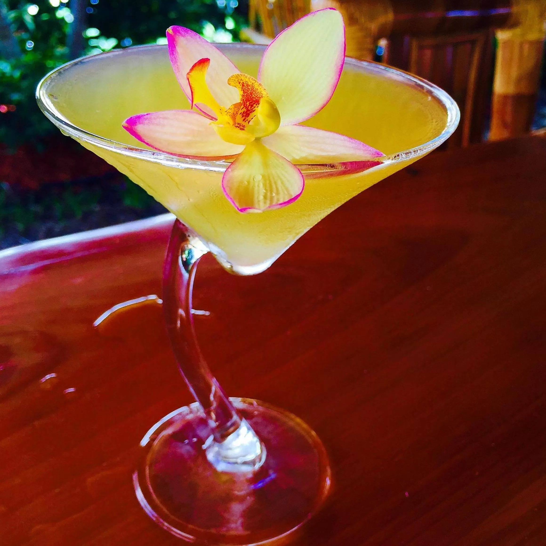 Non alcoholic drinks in Caribbean Resort by the Ocean