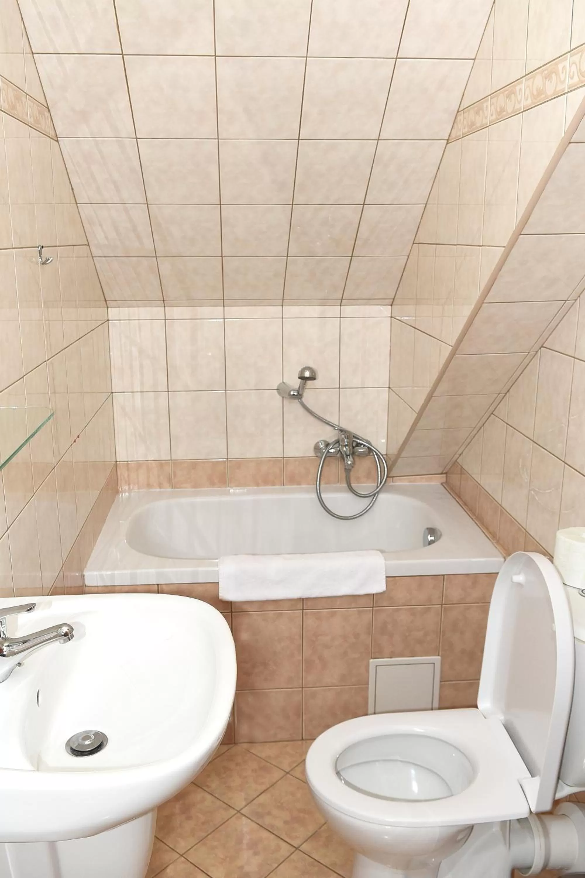 Bathroom in Hotel Bílý Koníček