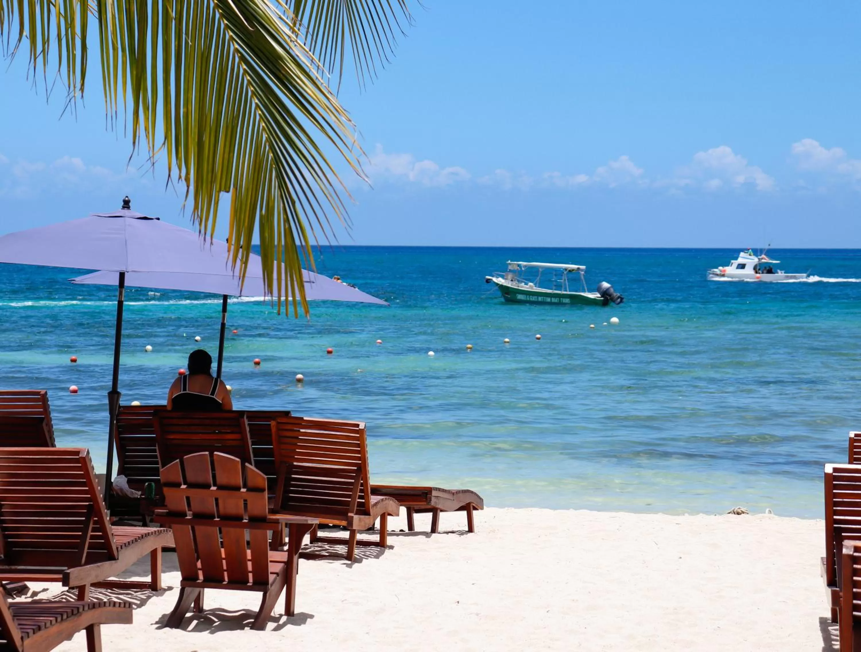 Natural landscape, Beach in Maia Suites Cozumel