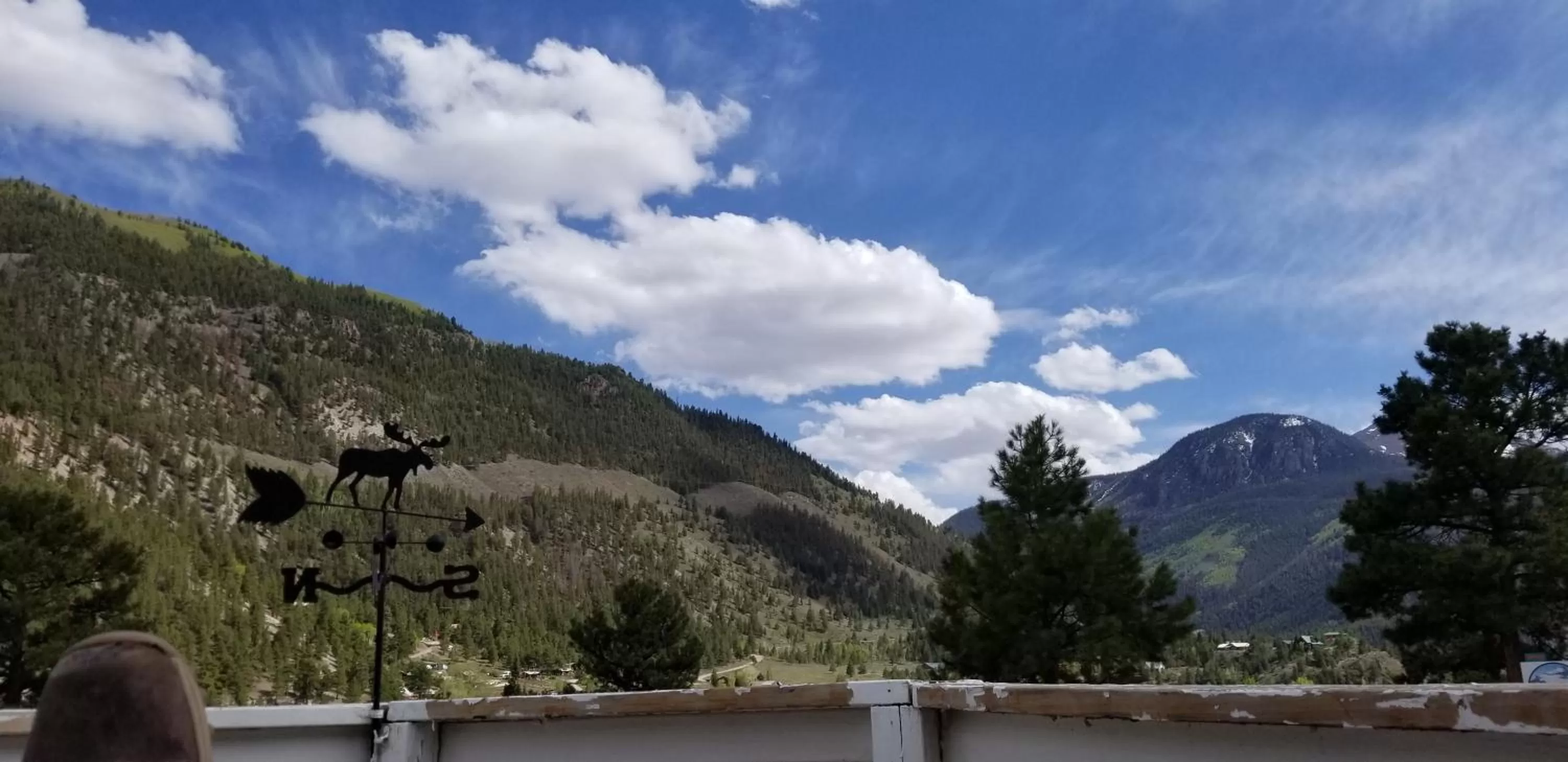 Property building, Mountain View in Alpine Moose Lodge