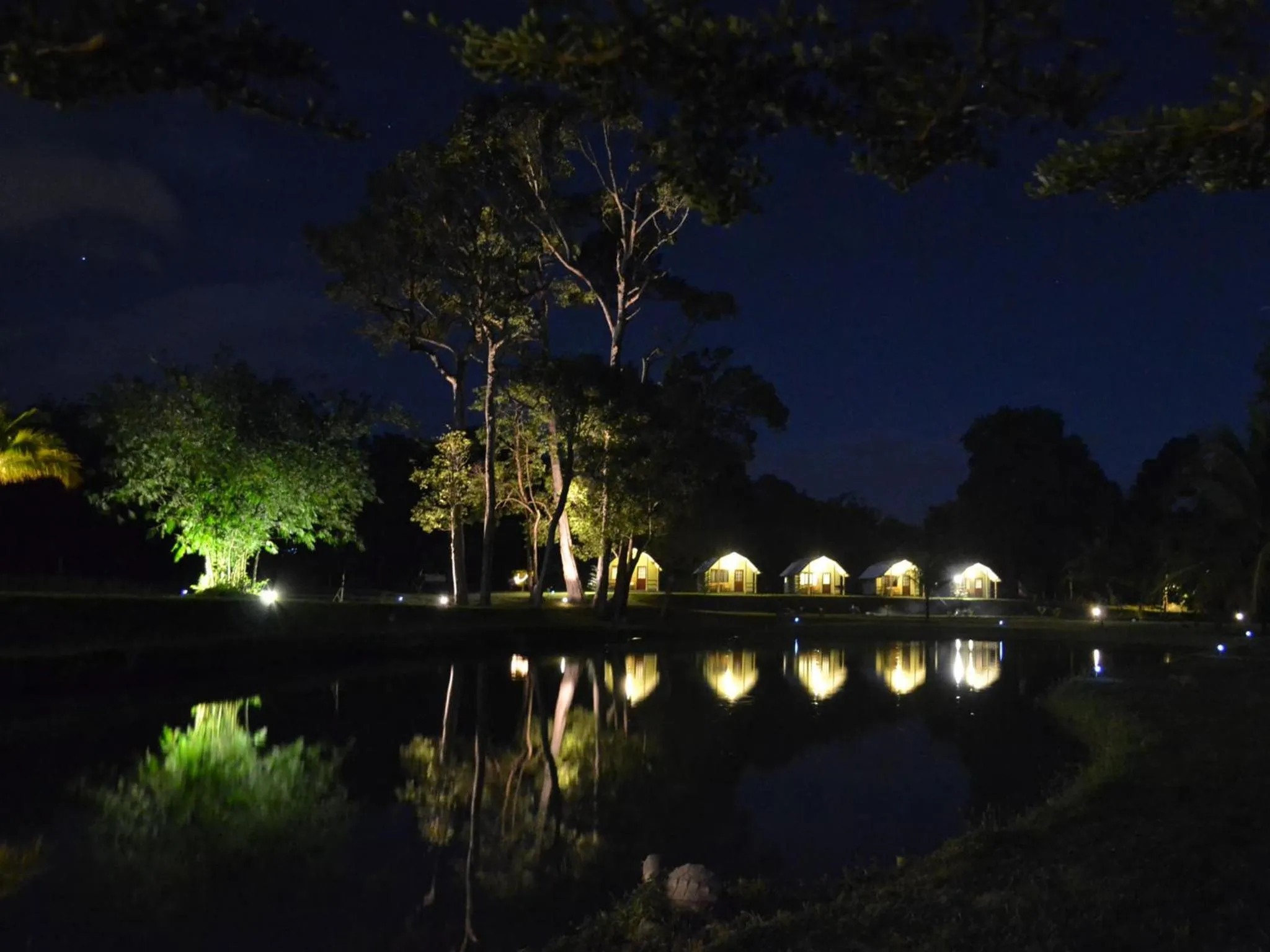 Garden view in Phuket Campground