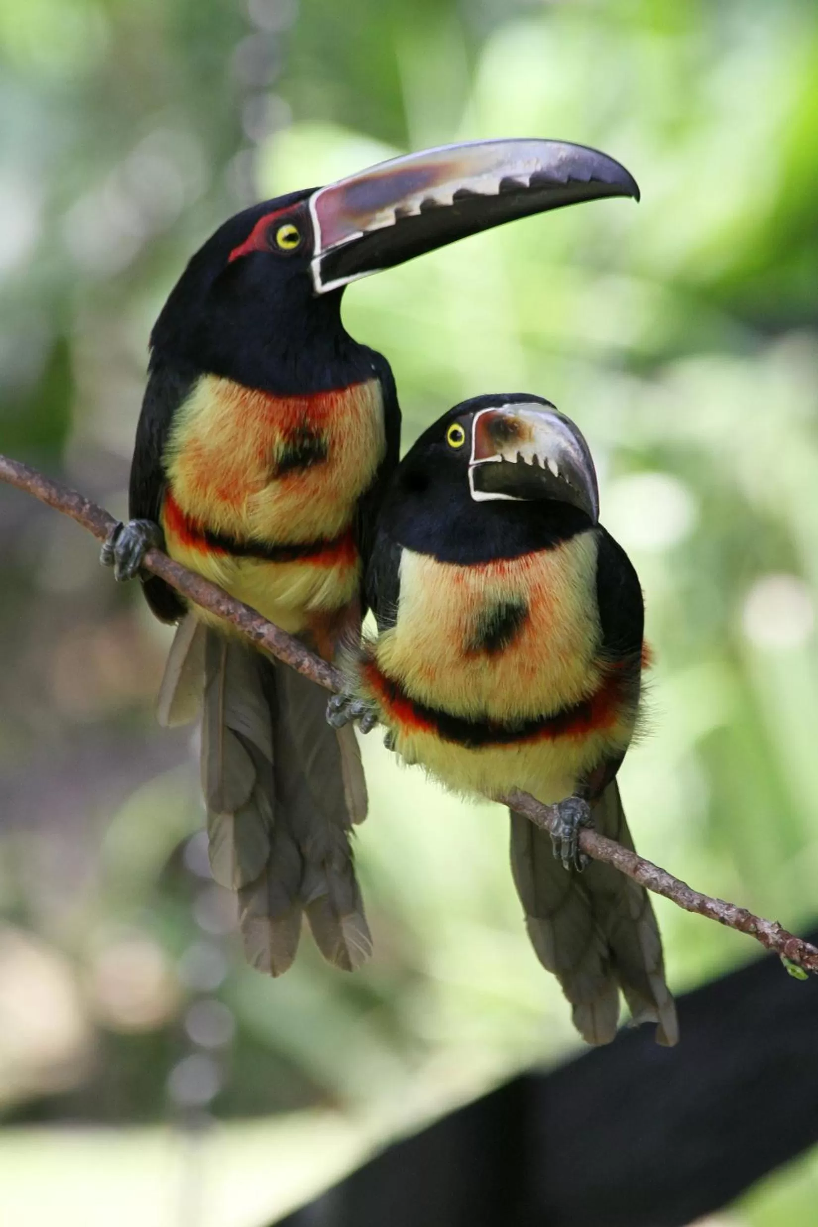 Bird's eye view in Hotel Kokoro Mineral Hot Springs
