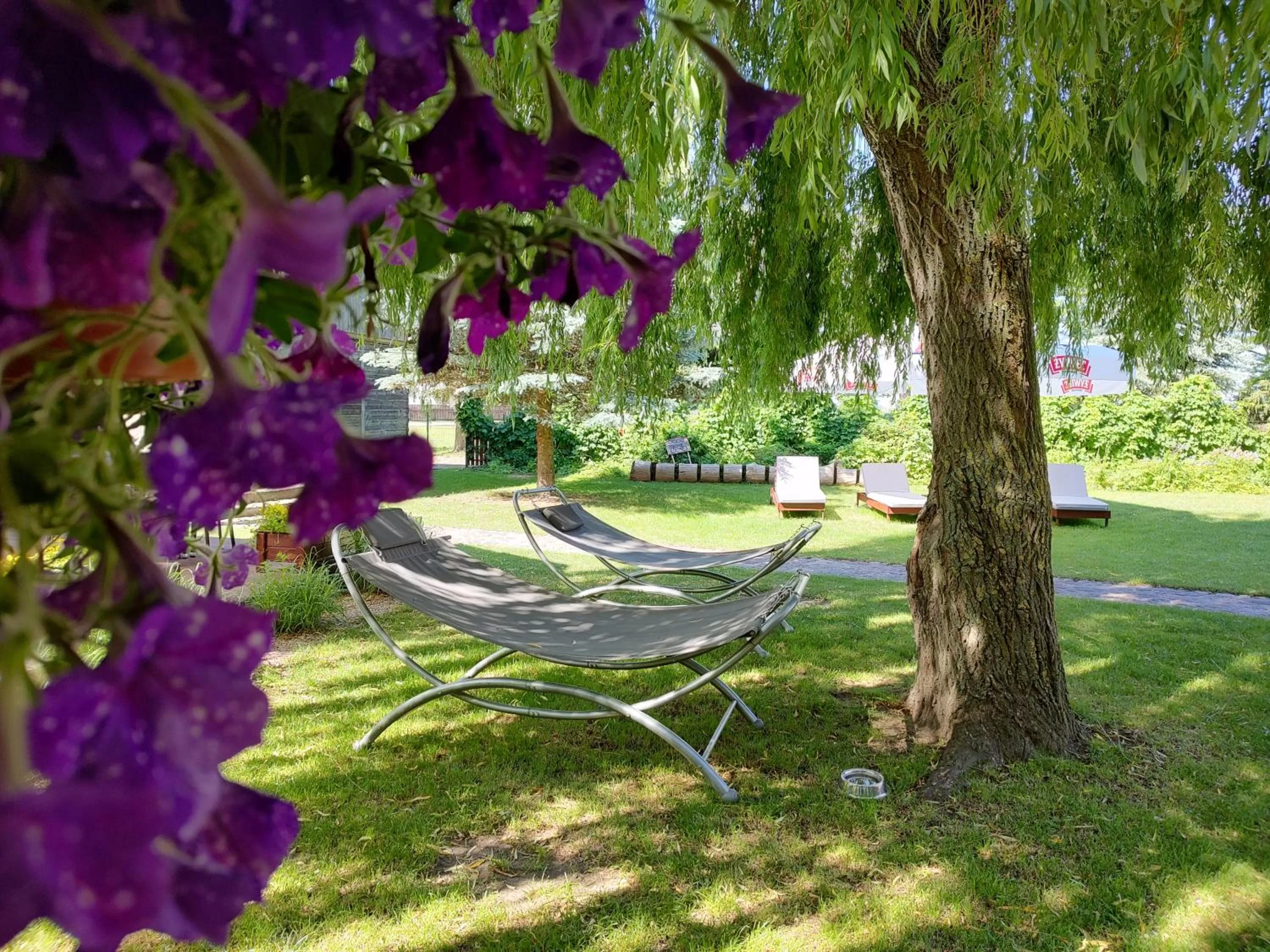 Garden in Gospoda Pazibroda