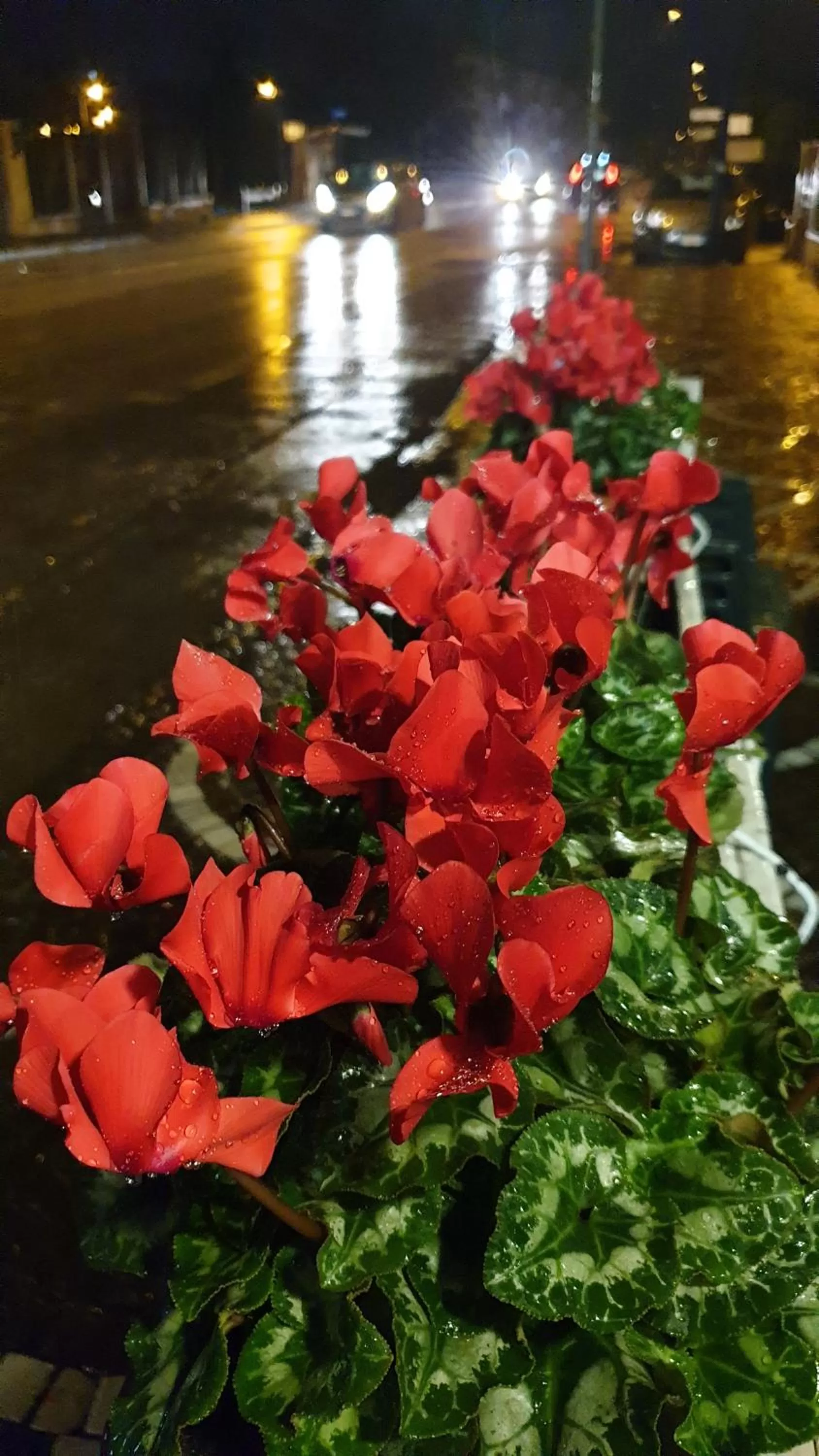 Street view in B&B oh mamma mia POMPEI