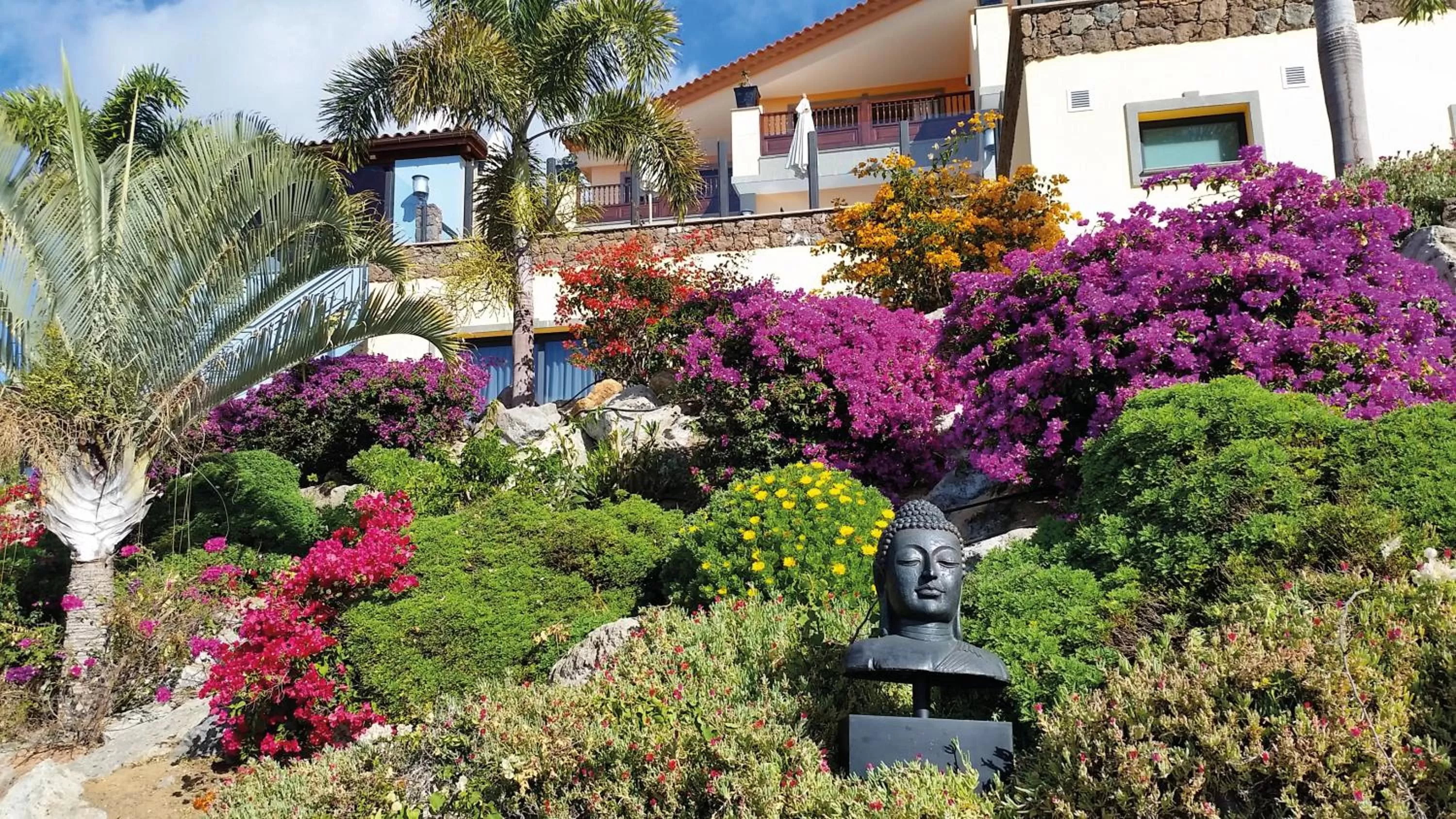 Garden view in Casa León Royal Retreat