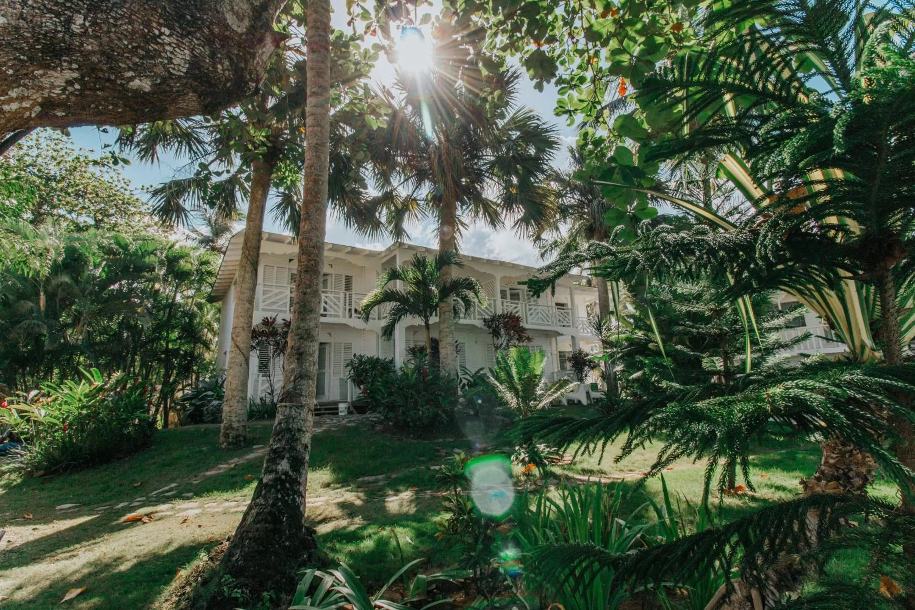 Property Building in El Mosquito Boutique Hotel Playa Bonita