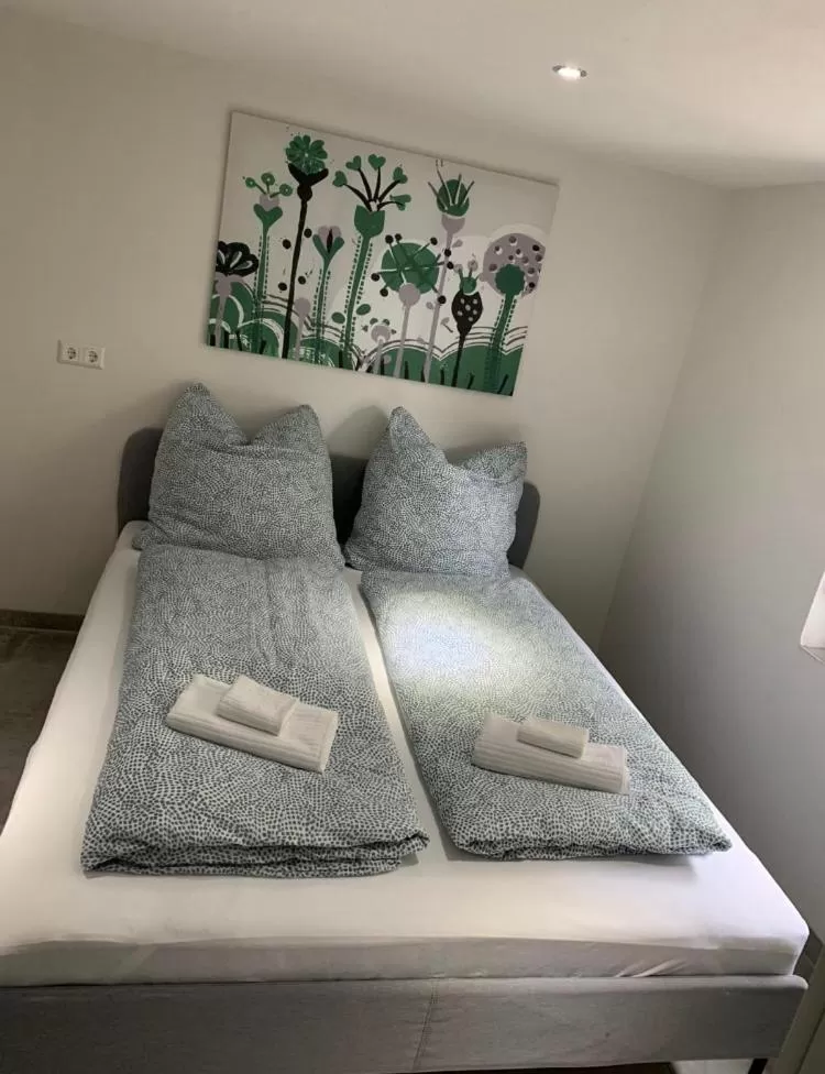 Classic Quadruple Room in Greenhome Lörrach -Ihre Unterkunft im 3-Ländereck-