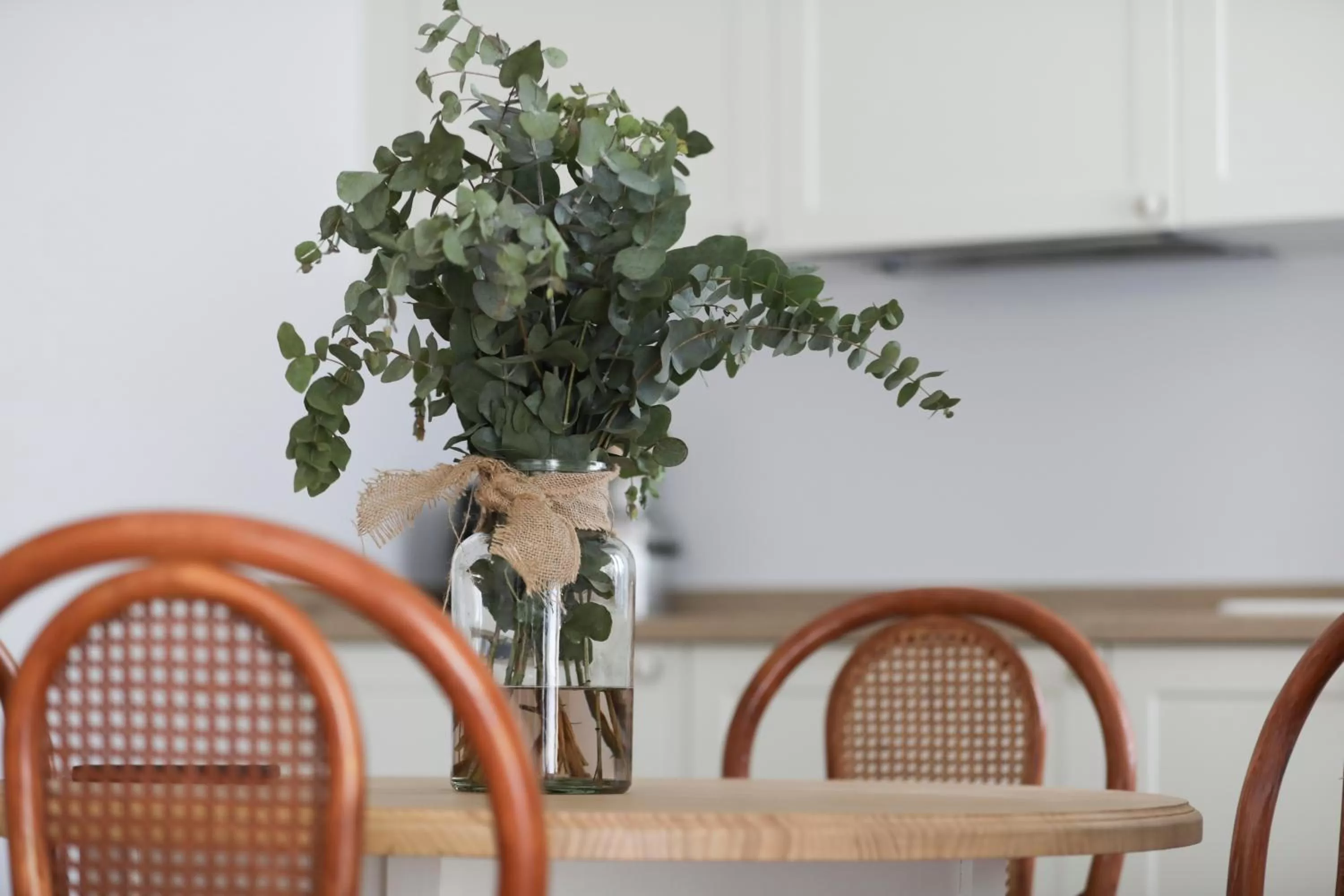 Kitchen or kitchenette in Le Petit Boutique Hotel