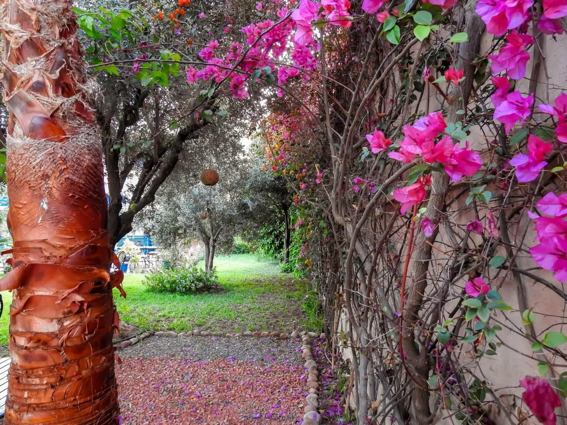 Garden in Le Bleu House