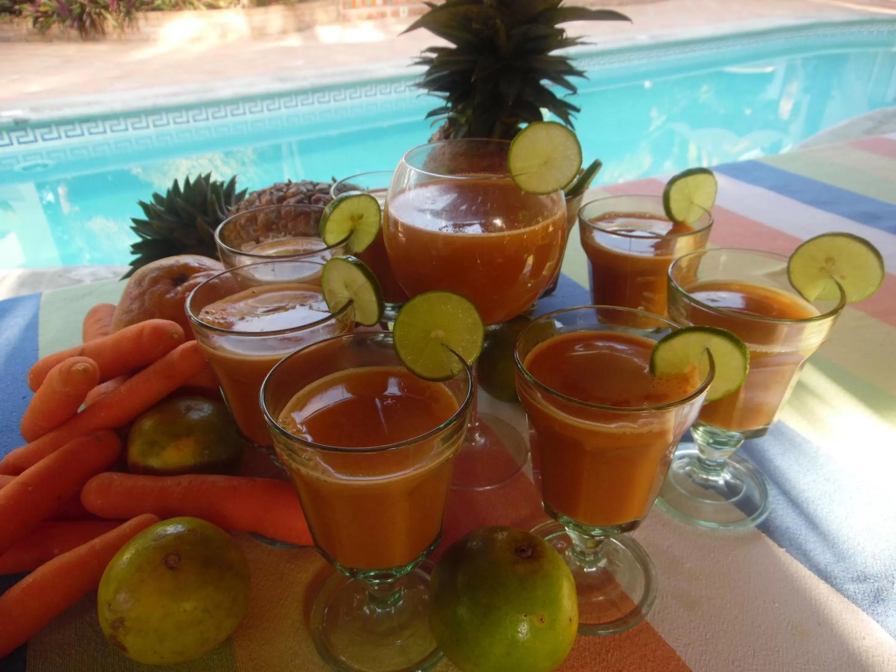 Food and drinks in Hotel Casamar Suites