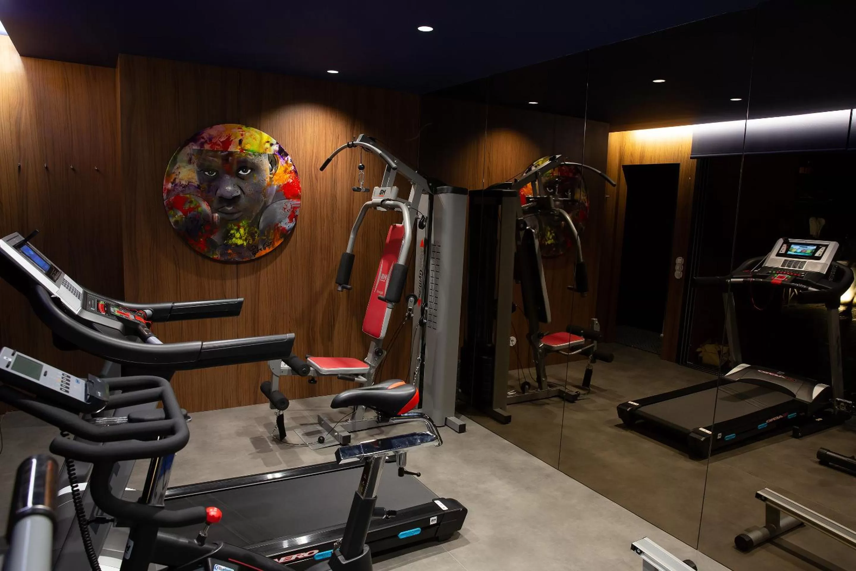 Fitness centre/facilities in Vale de São Torcato Hotel Rural