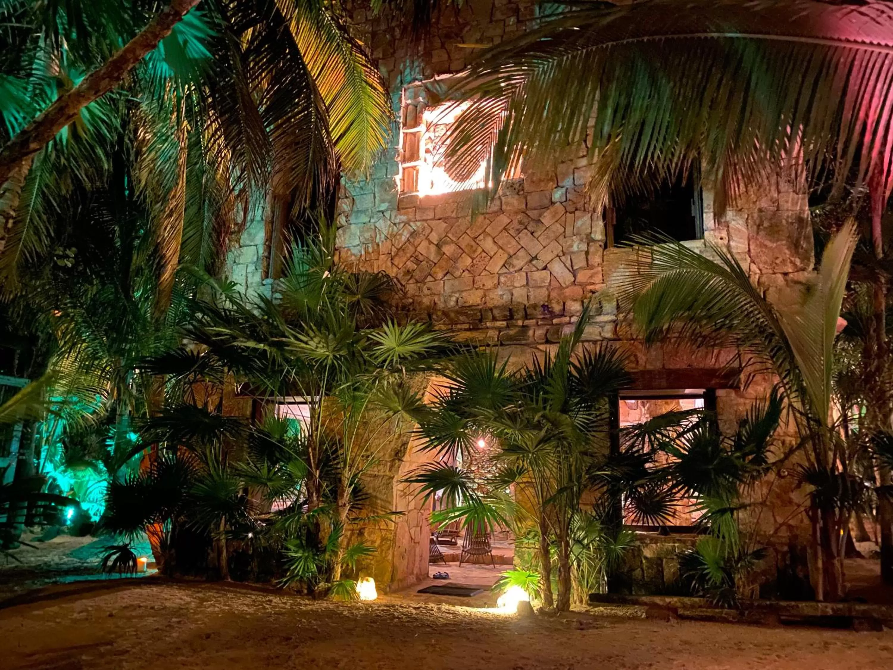 Natural landscape in Sueños Tulum