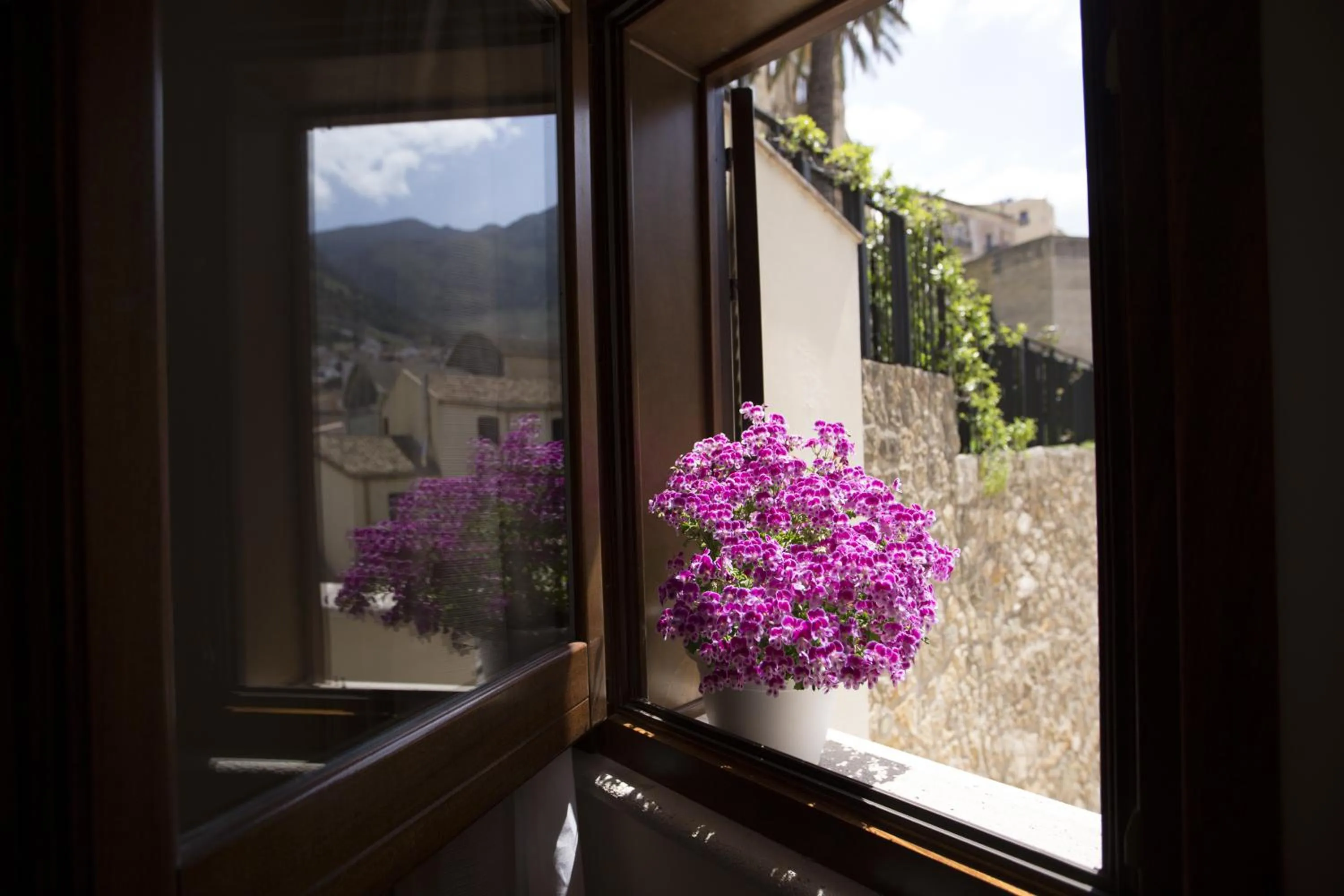 Day in Hotel Cetarium