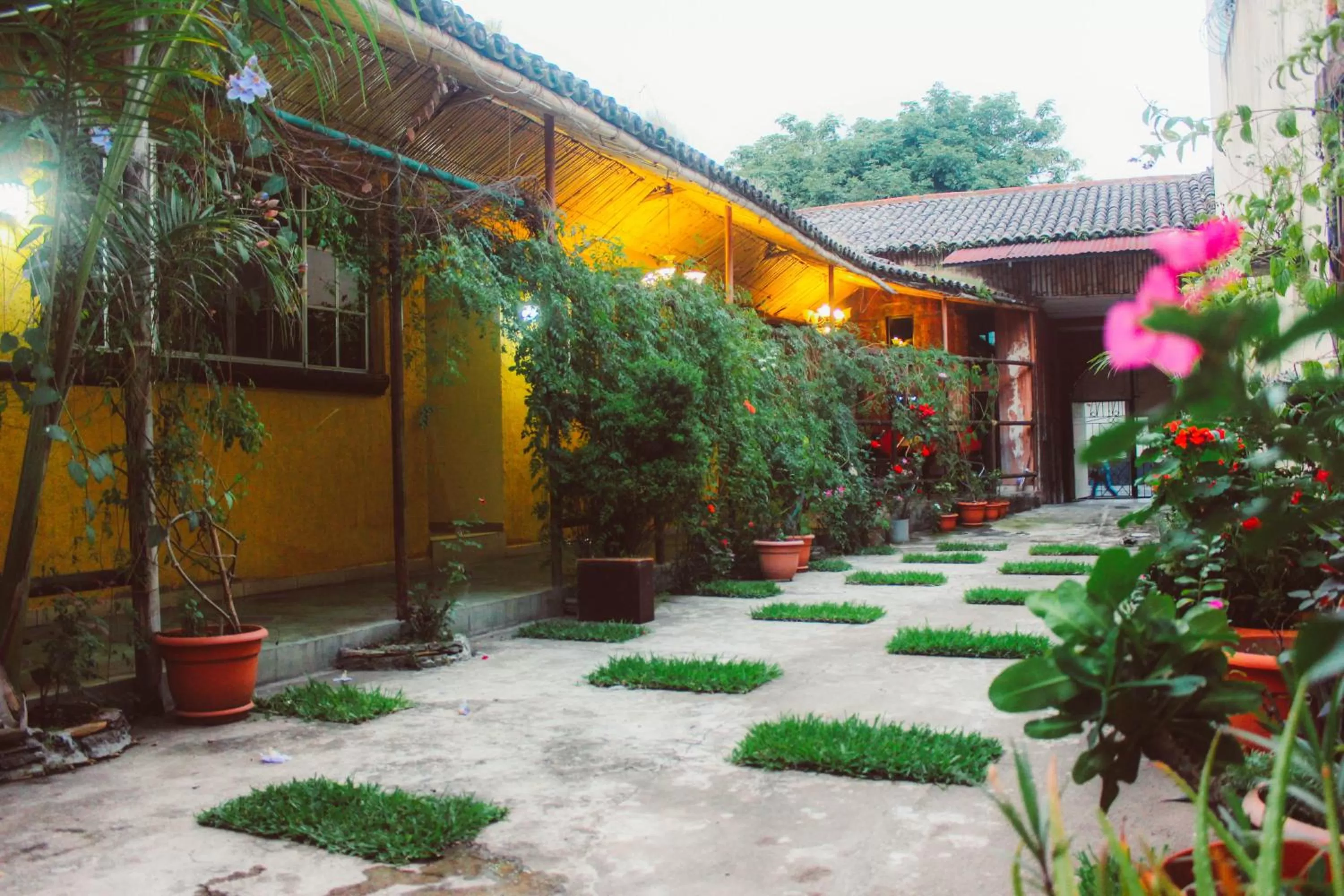 Patio in El Patio de Don Moncho