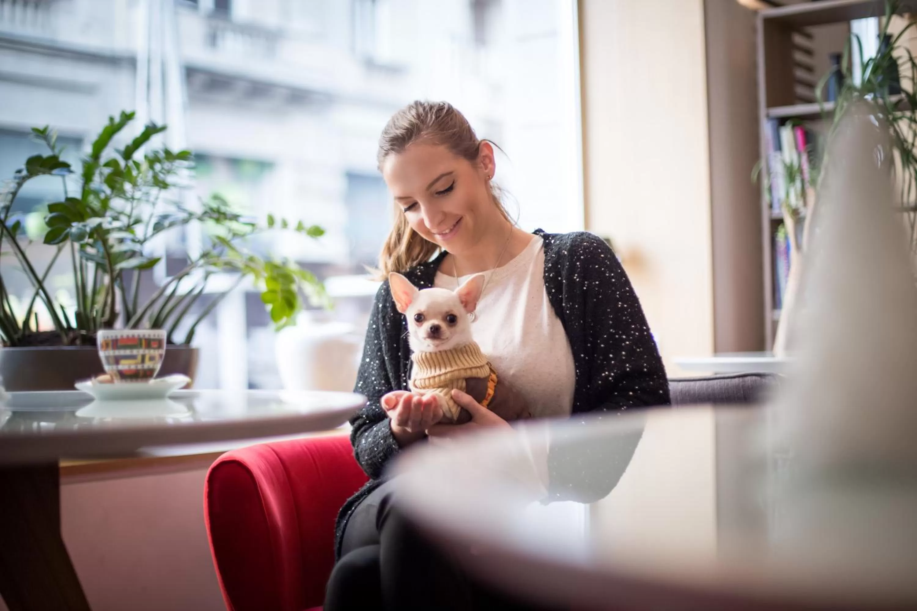 Pets in Jump INN Hotel Belgrade