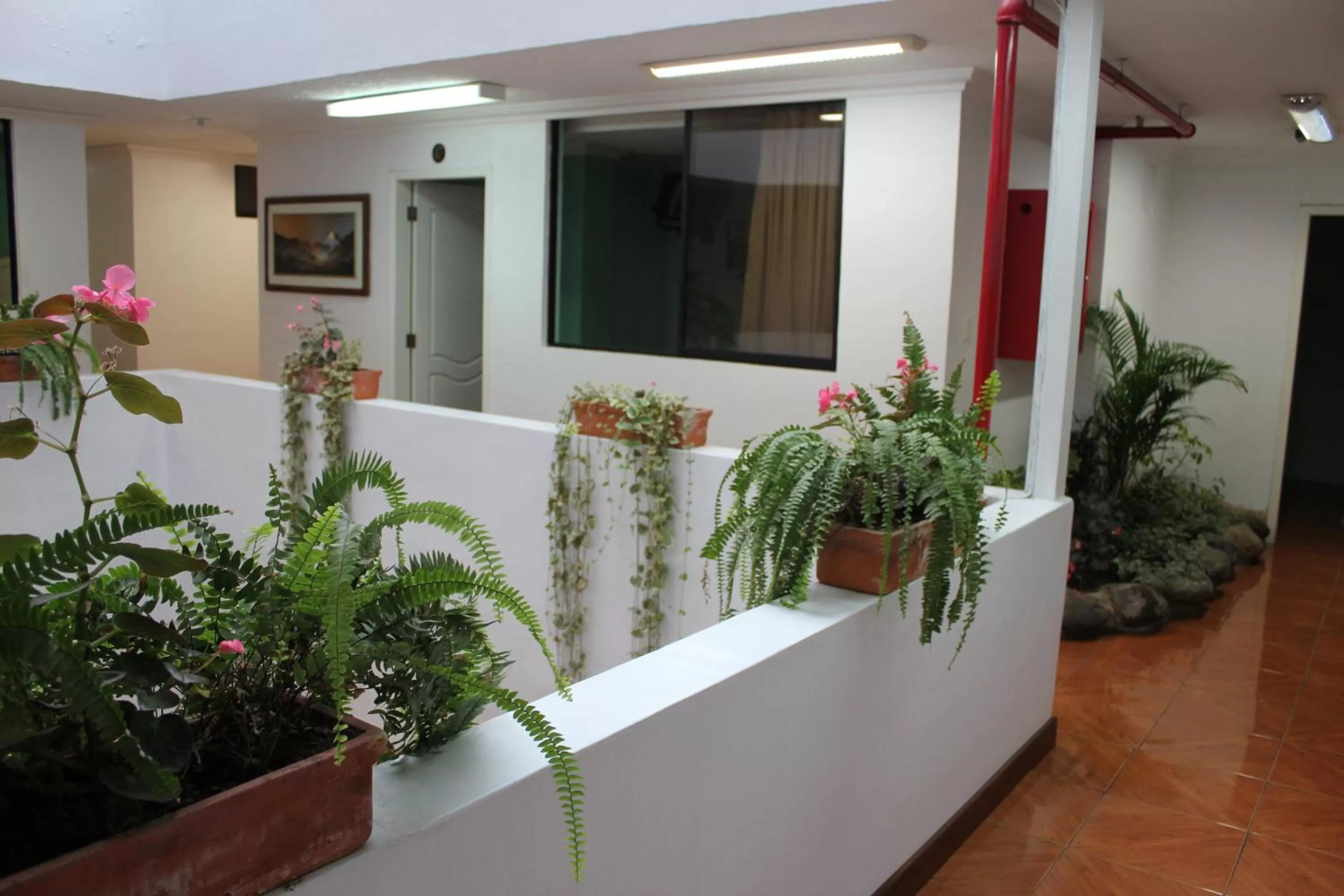 Property building in Hotel David