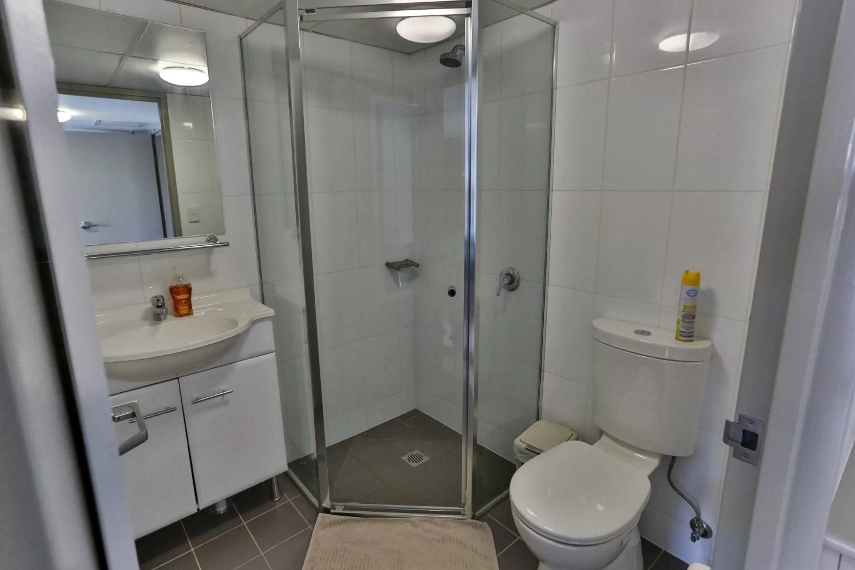 Shower in Strathfield Executive Accommodation
