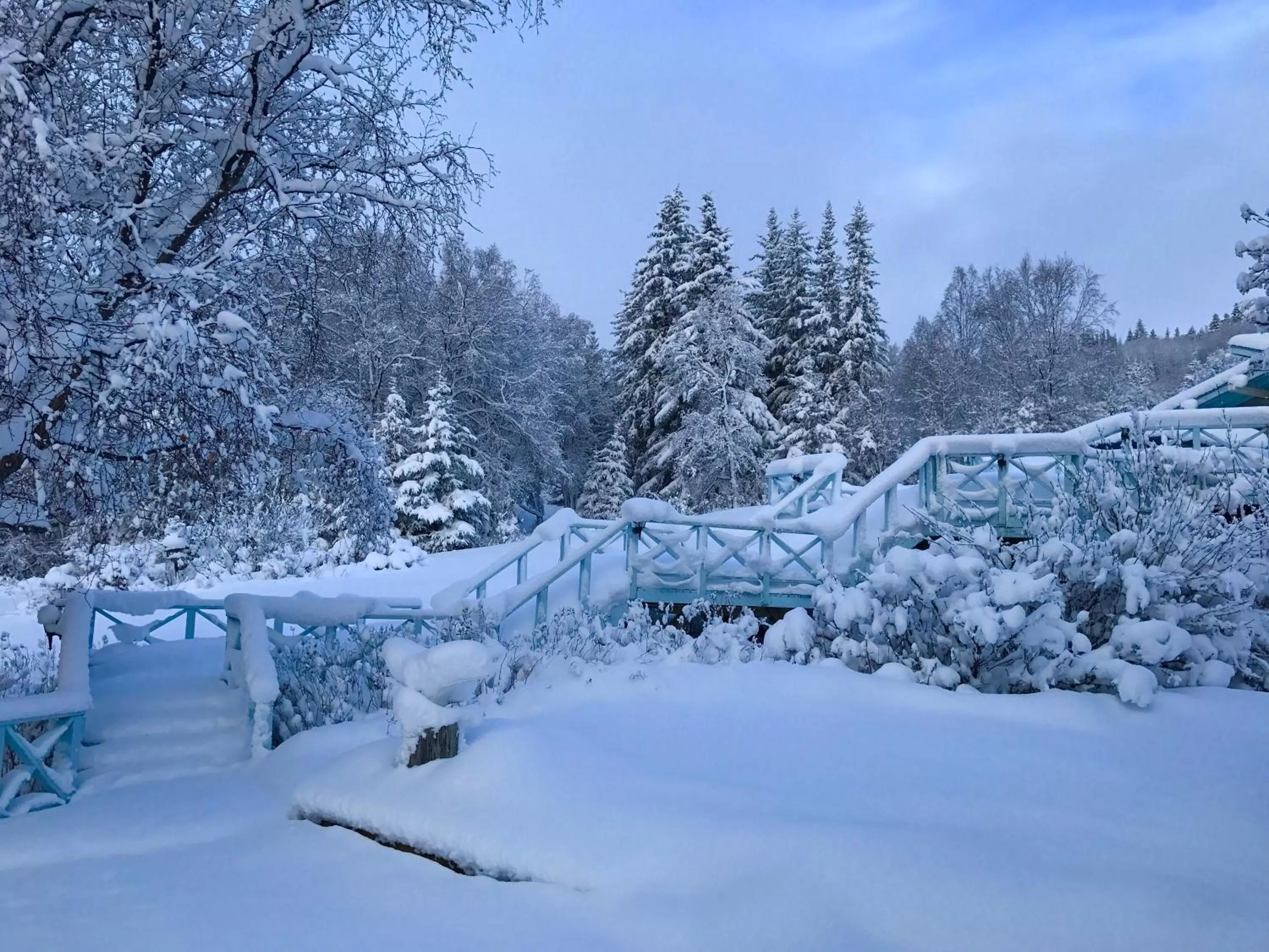 Patio in Halcyon Heights B&B/Inn