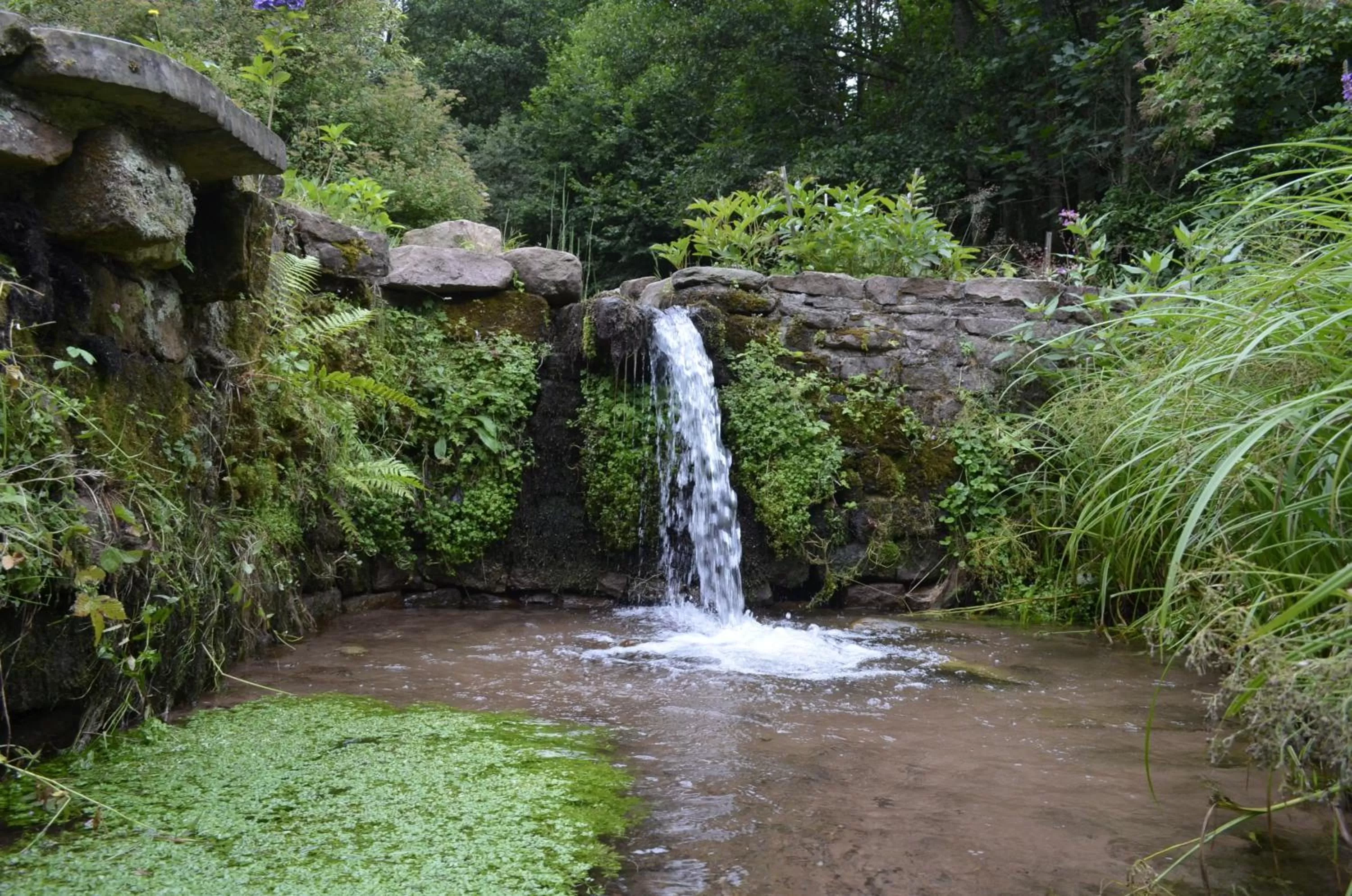 Garden view, Natural Landscape in L'Atelier de Gisèle