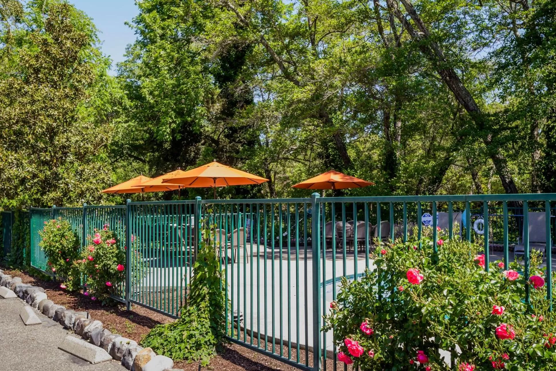 Swimming pool in The Jack London Lodge