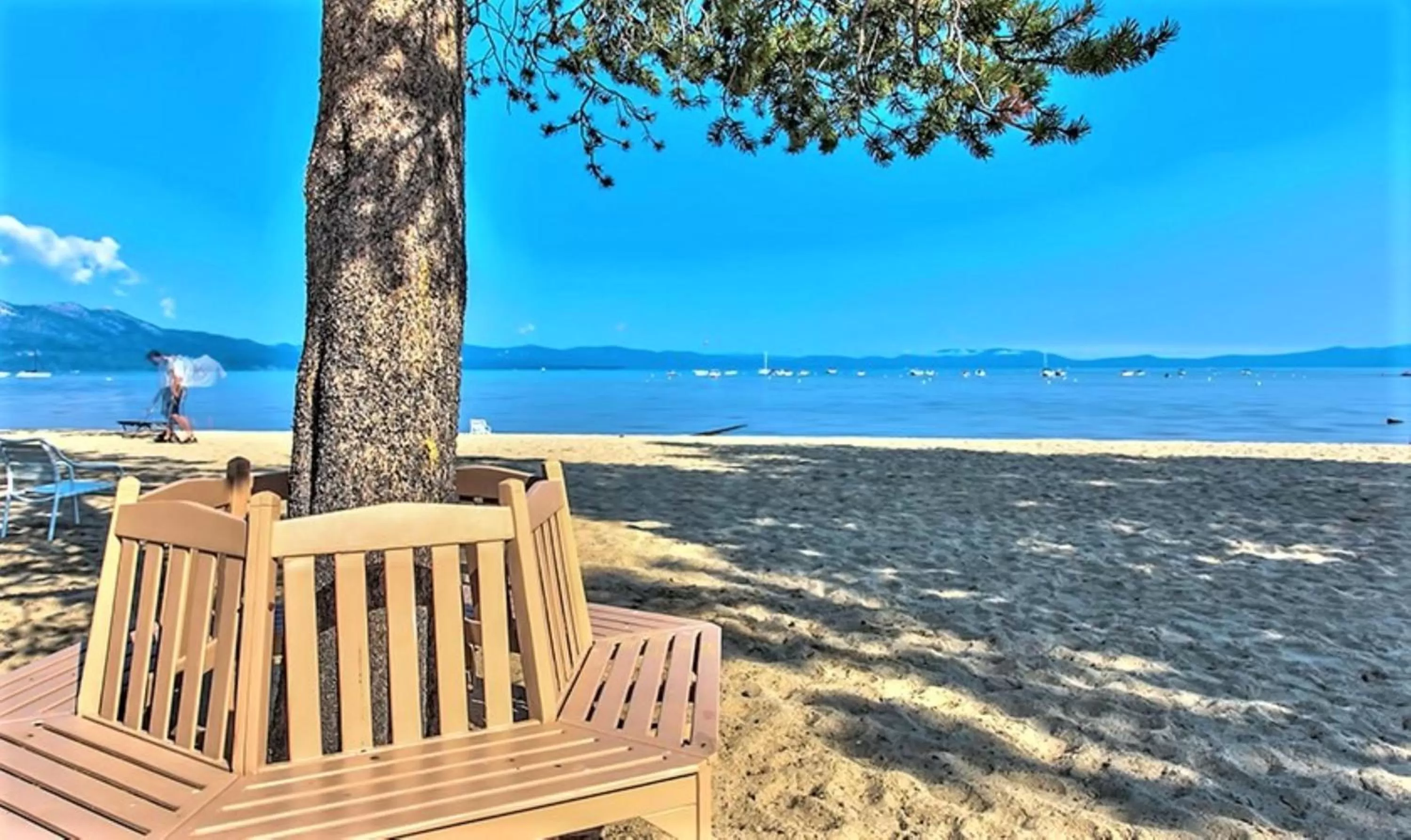 Beach in The Tahoe Beach & Ski Club Owners Association