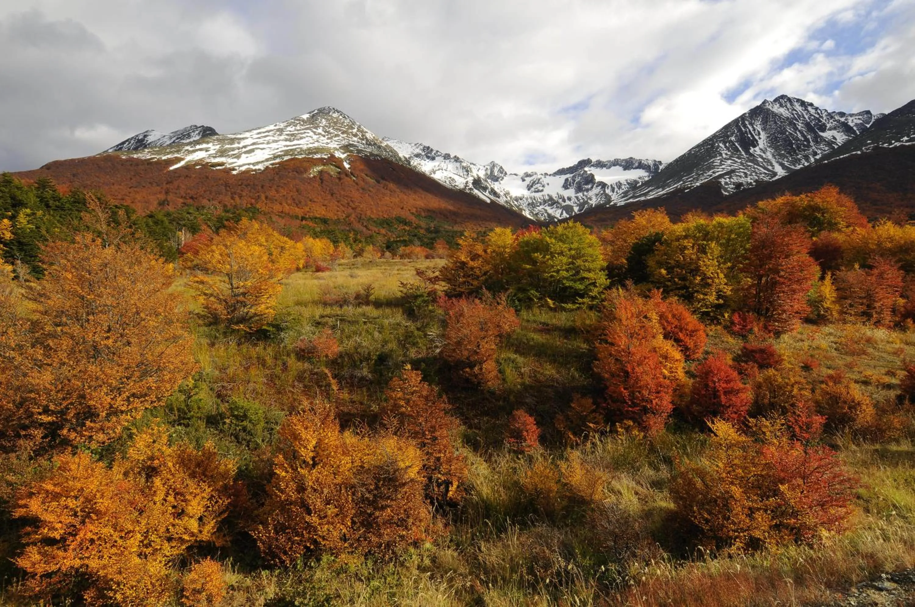 Nearby landmark in Cumbres Del Martial