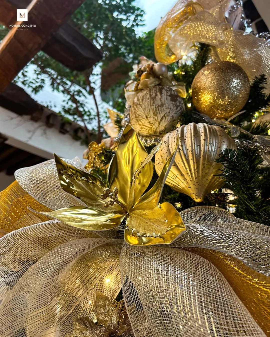 Day in M Hoteles Concepto