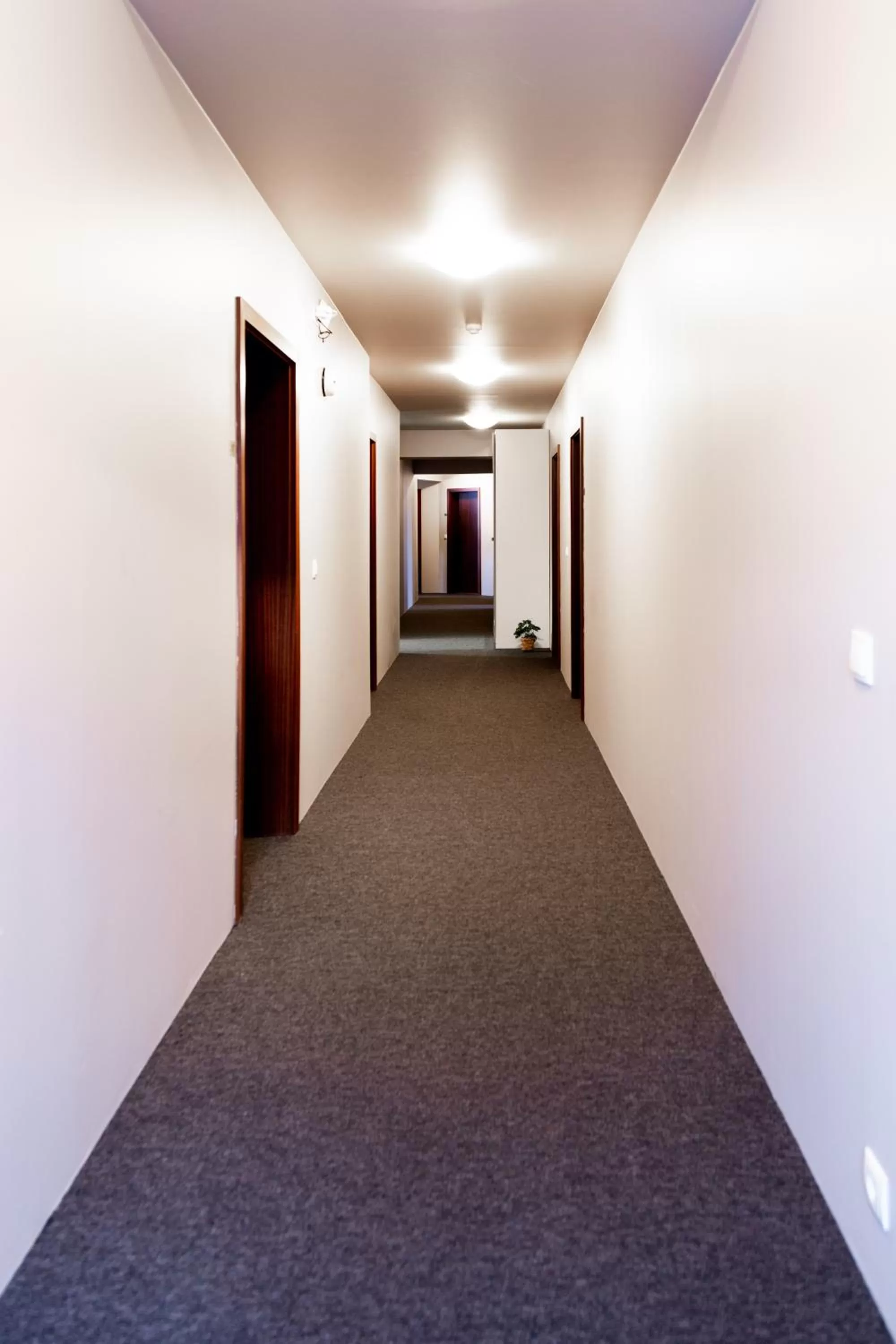 Property building in Westman Islands Inn