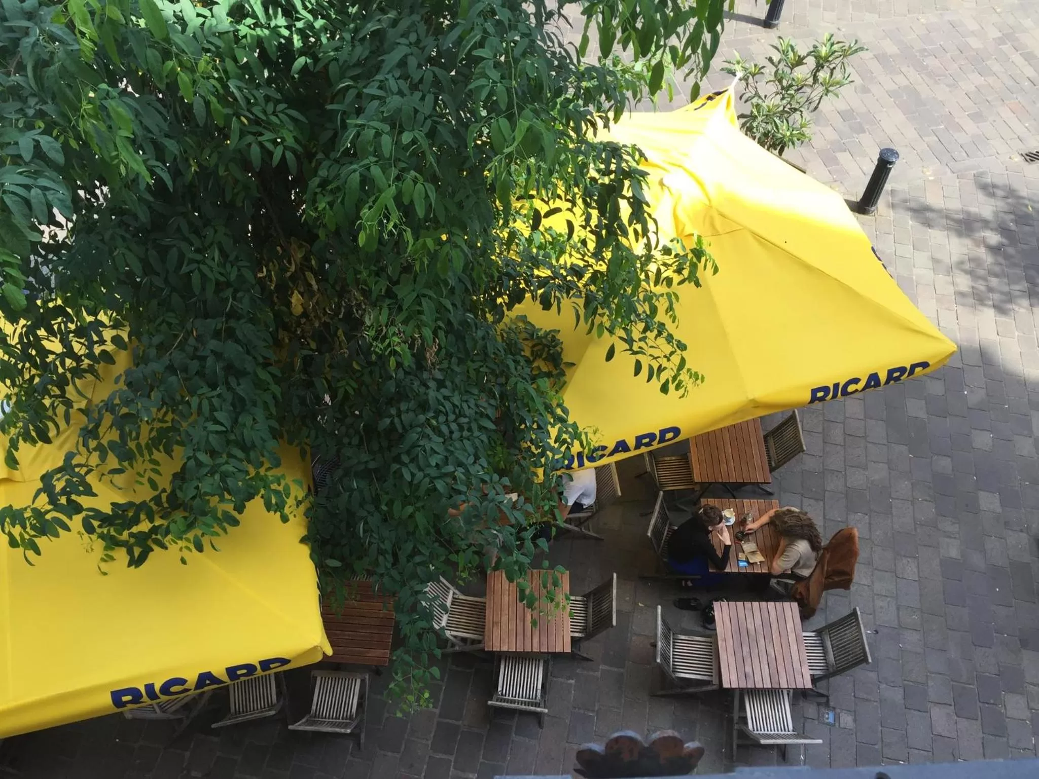 Restaurant/Places to Eat in Vakantielogies Faja lobi