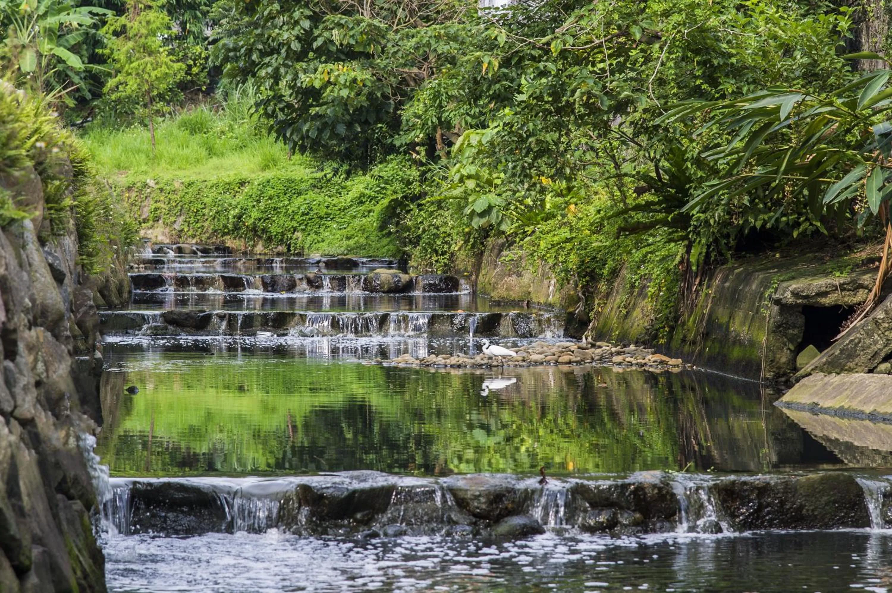 Natural landscape in Golden Tulip FAB Hotel New Taipei