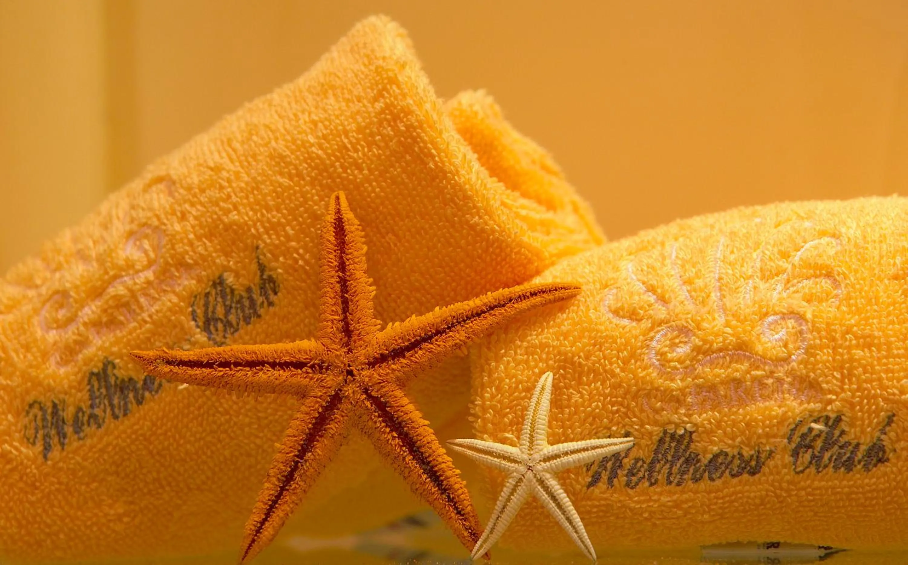 Other in Hotel Caparena