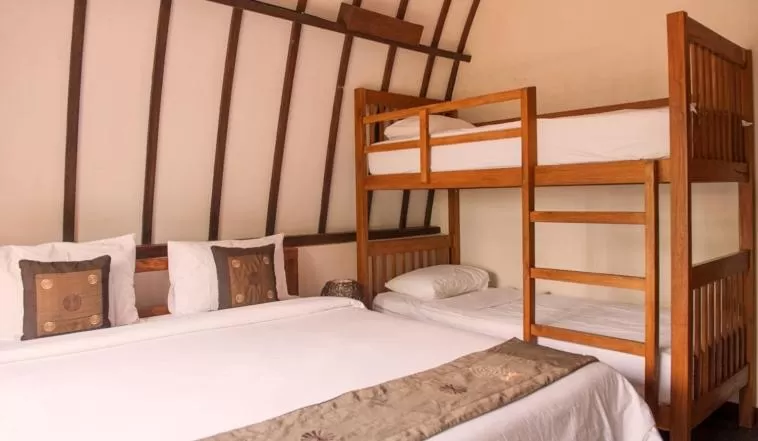 bunk bed, Bed in Oceans 5 Dive Resort