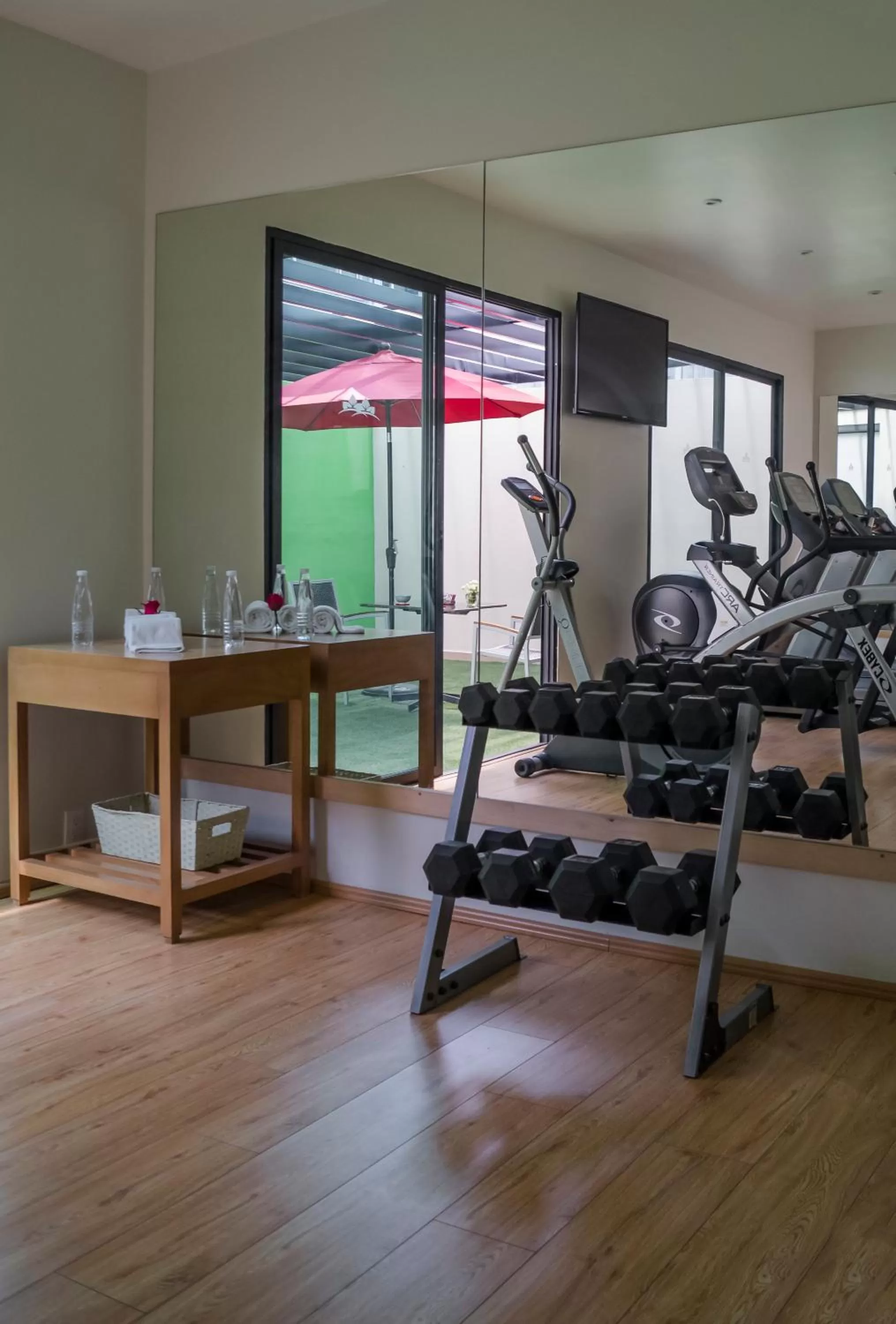 Fitness centre/facilities in Alteza Polanco