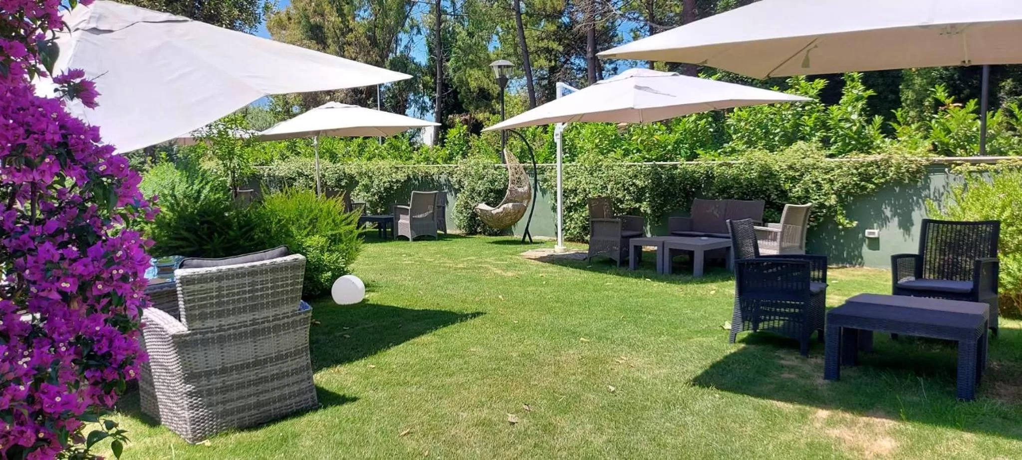 Garden in Hotel Calypso