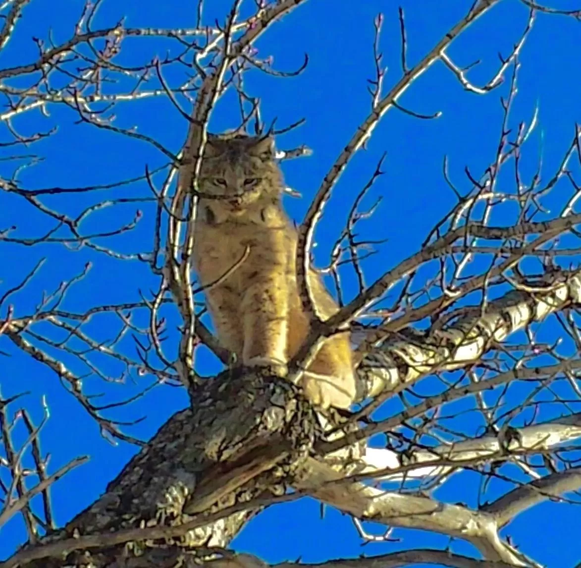 Natural landscape in Riversong Inn Retreat