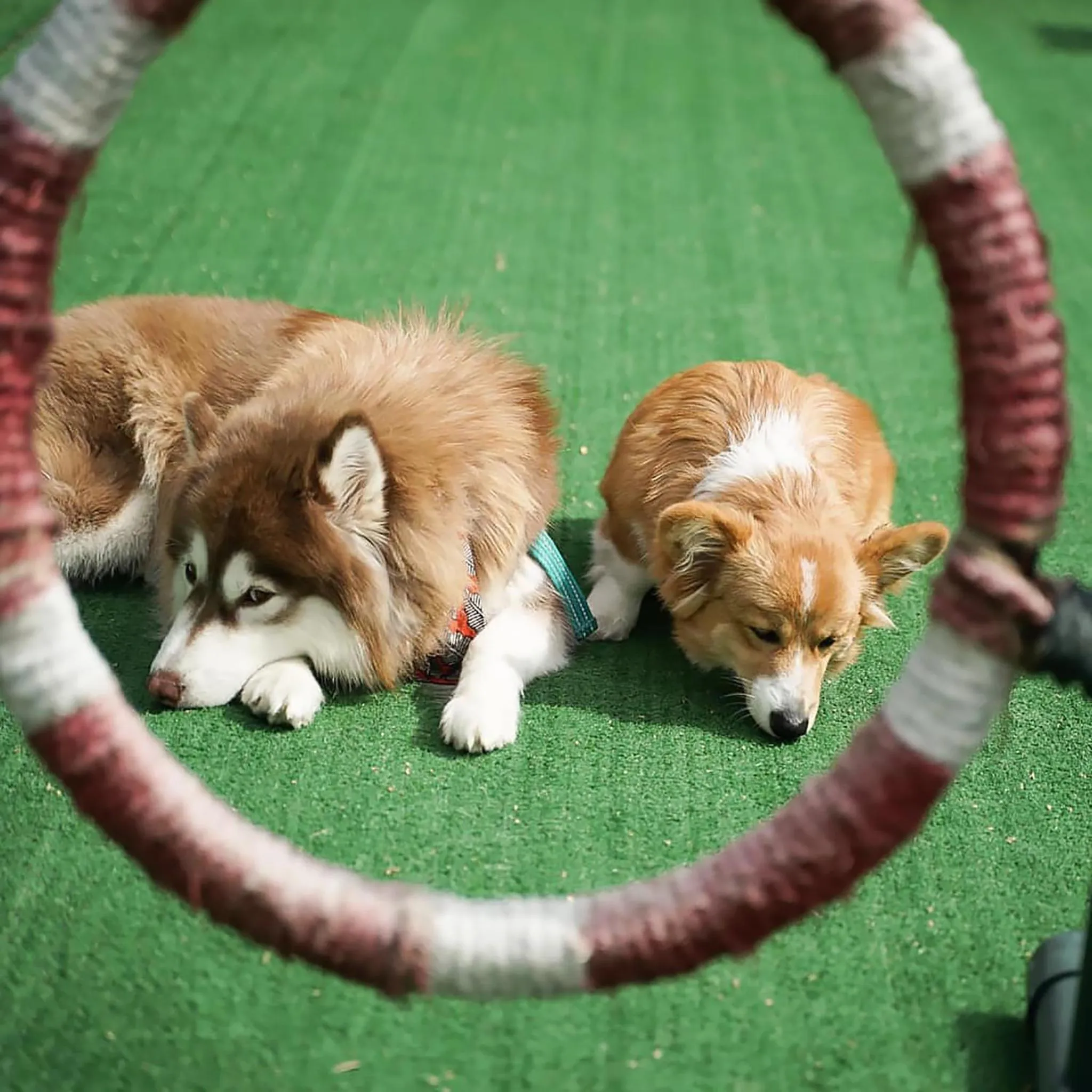 Activities in Long Beach Garden Hotel & Pavilions