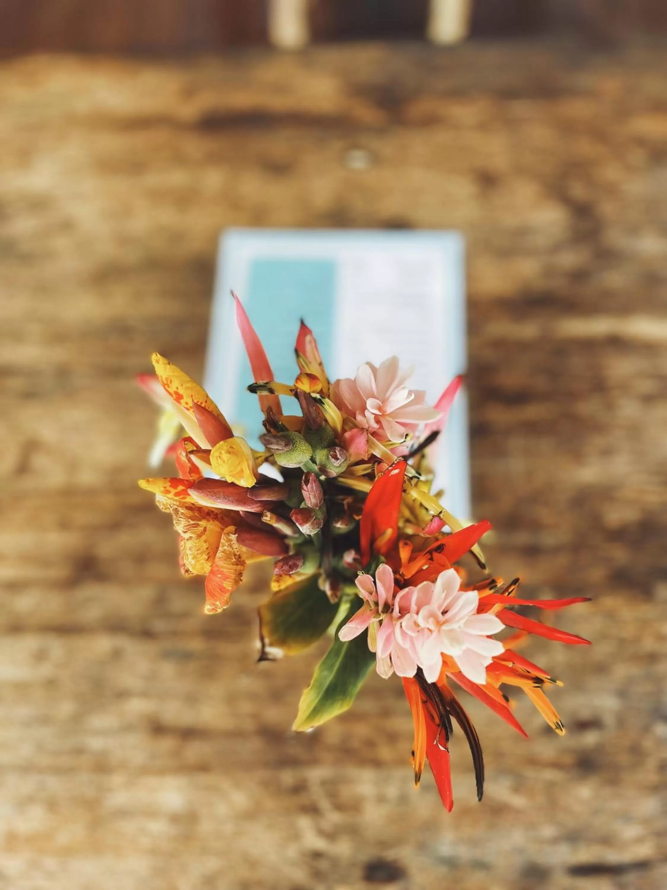 Lounge or bar in Bird Island Bungalows