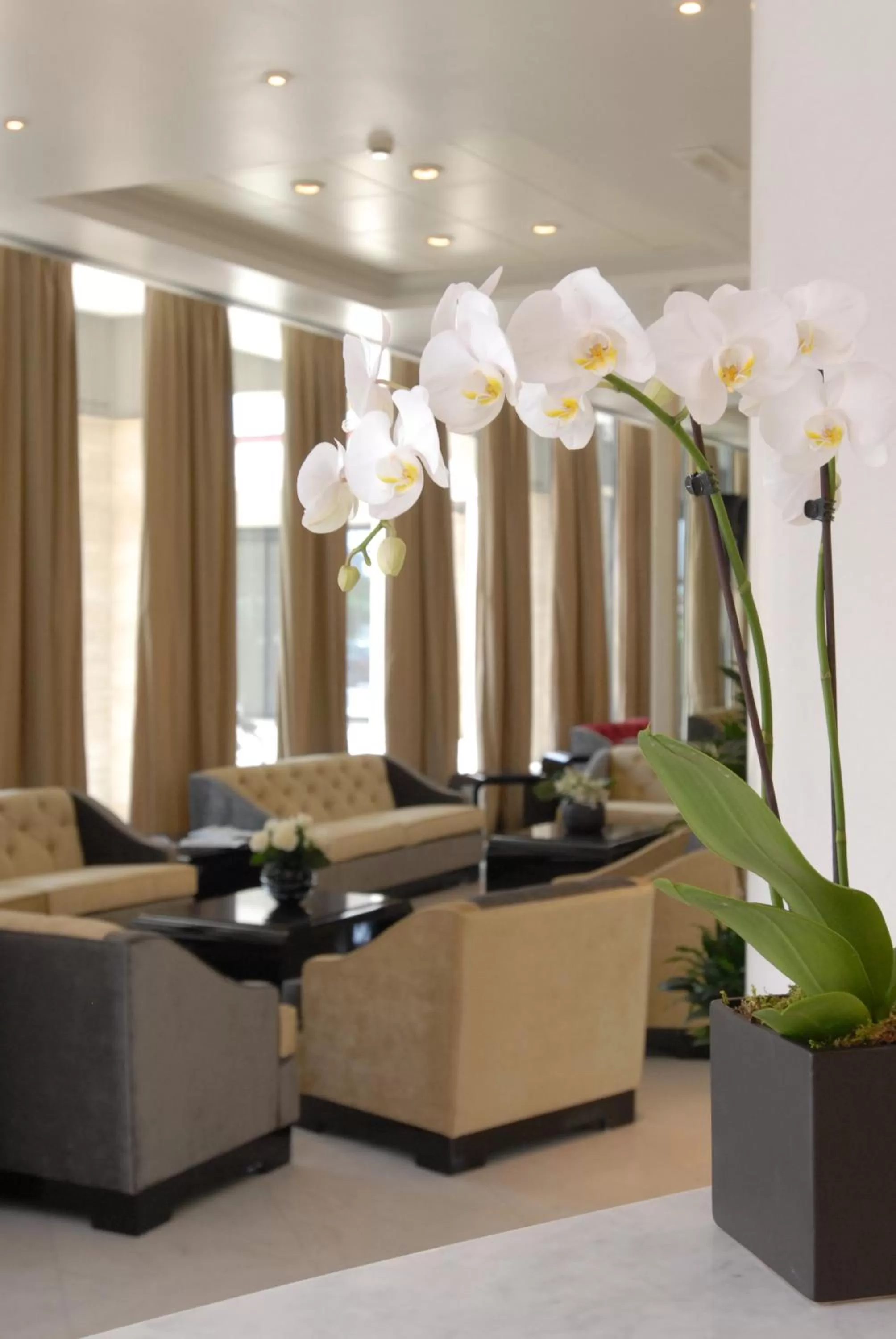 Lobby or reception in Grand Hotel Duca Di Mantova