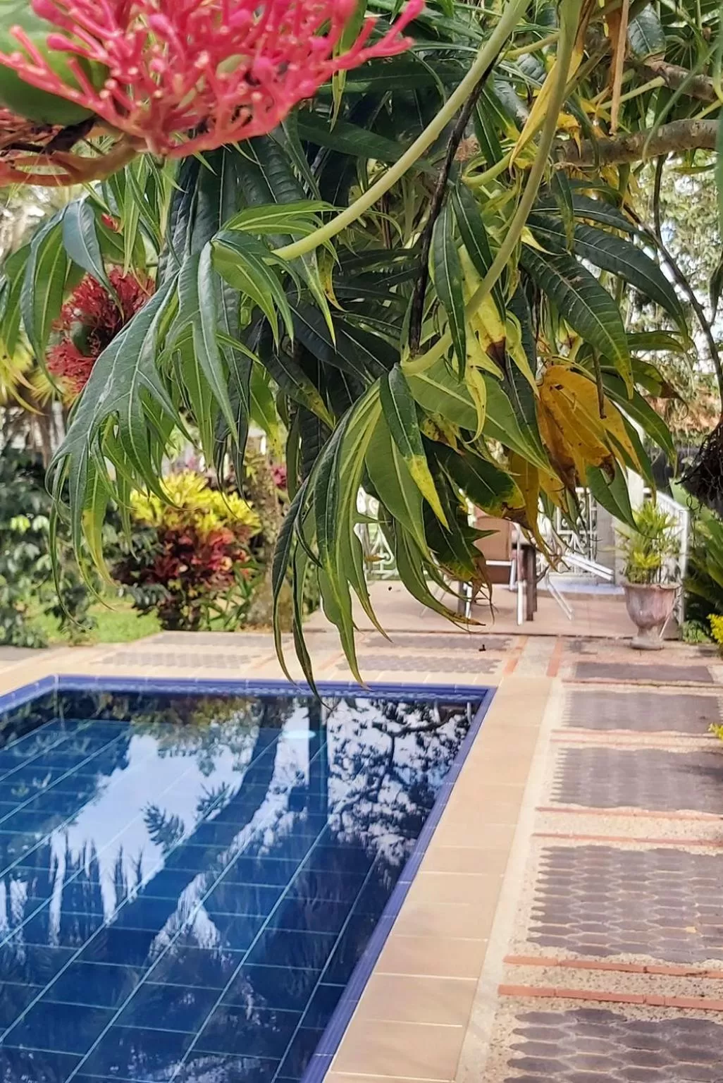 Pool view, Swimming Pool in Balsora Hotel Boutique