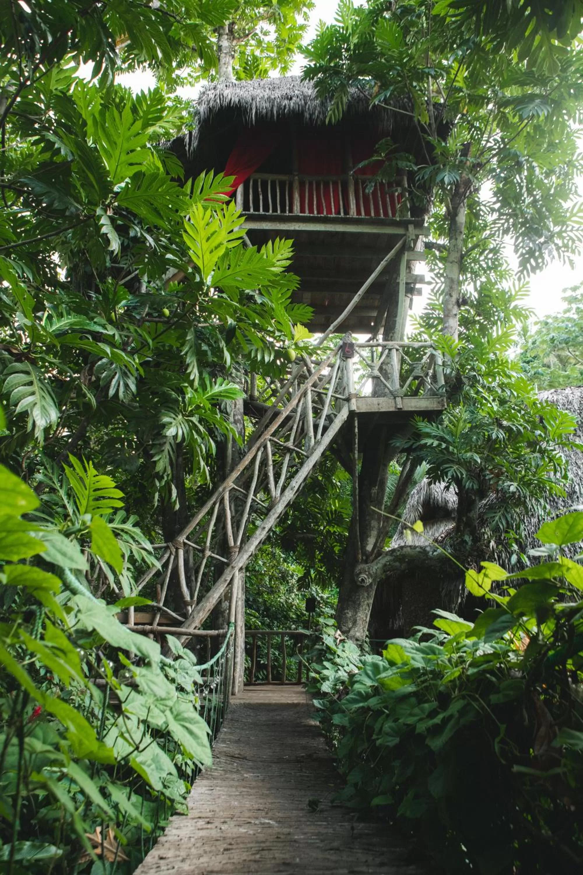 Dominican Tree House Village