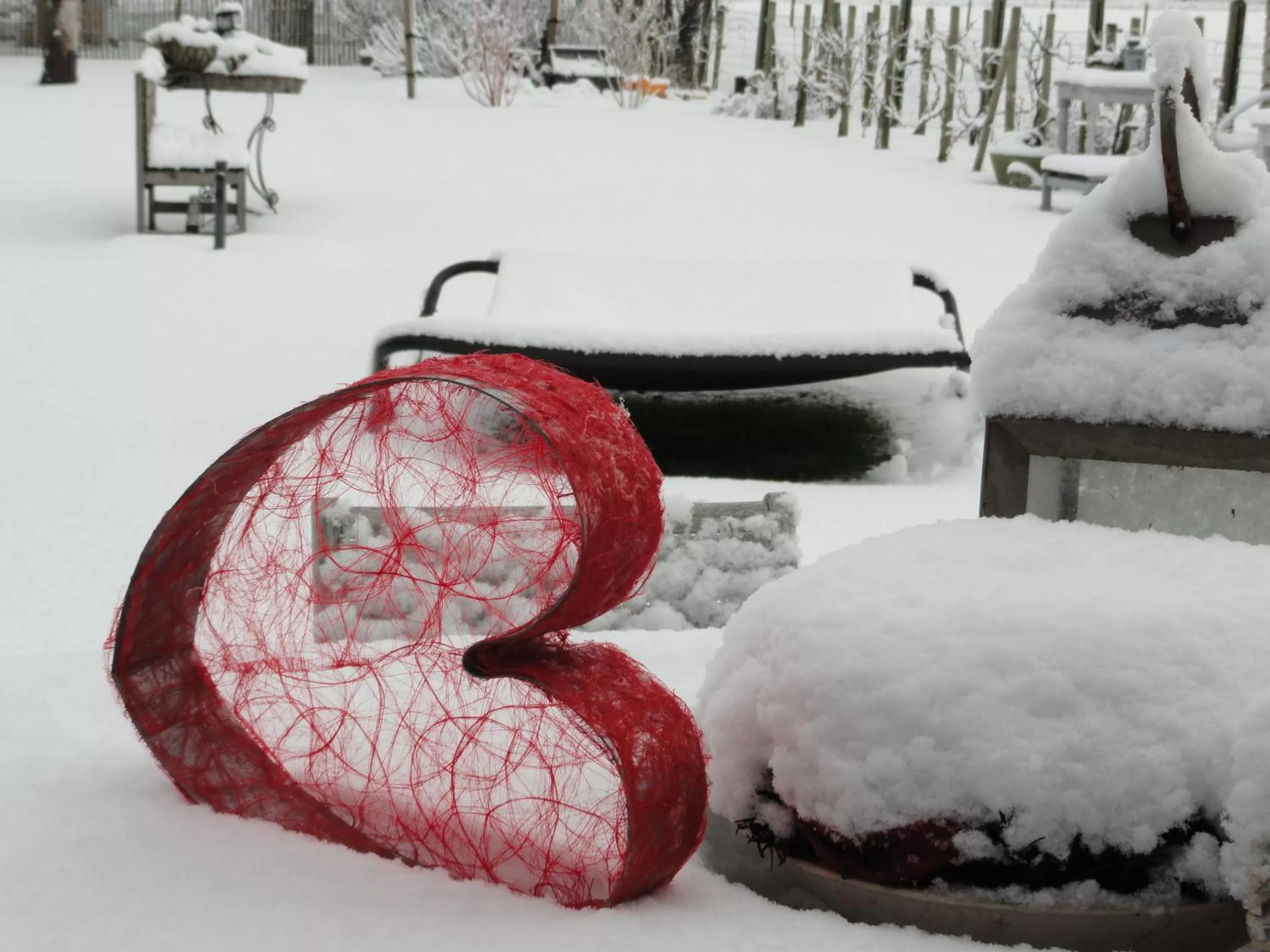 Garden view, Winter in B&B Altijd Genieten