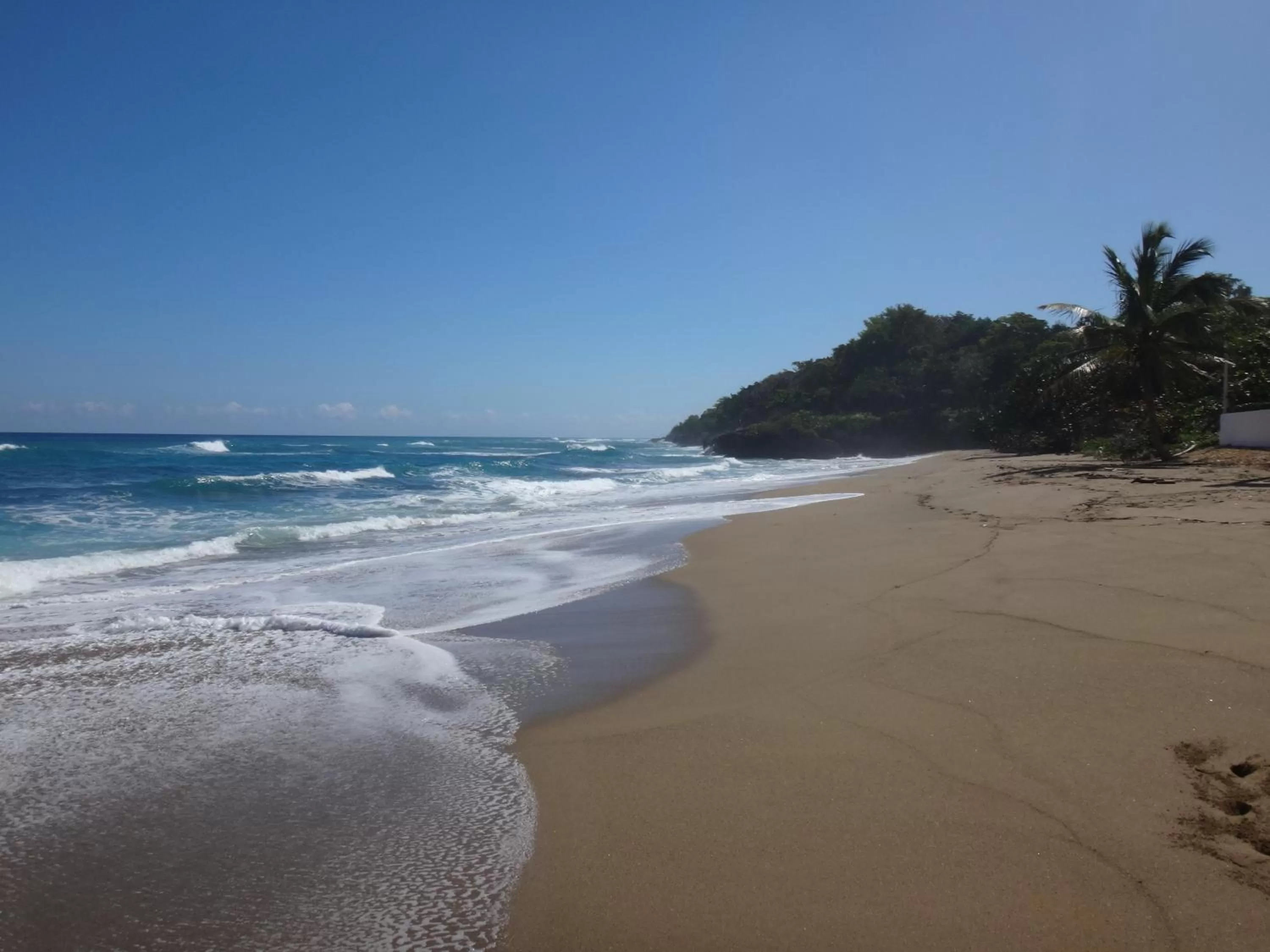 Day in Garden By The Sea