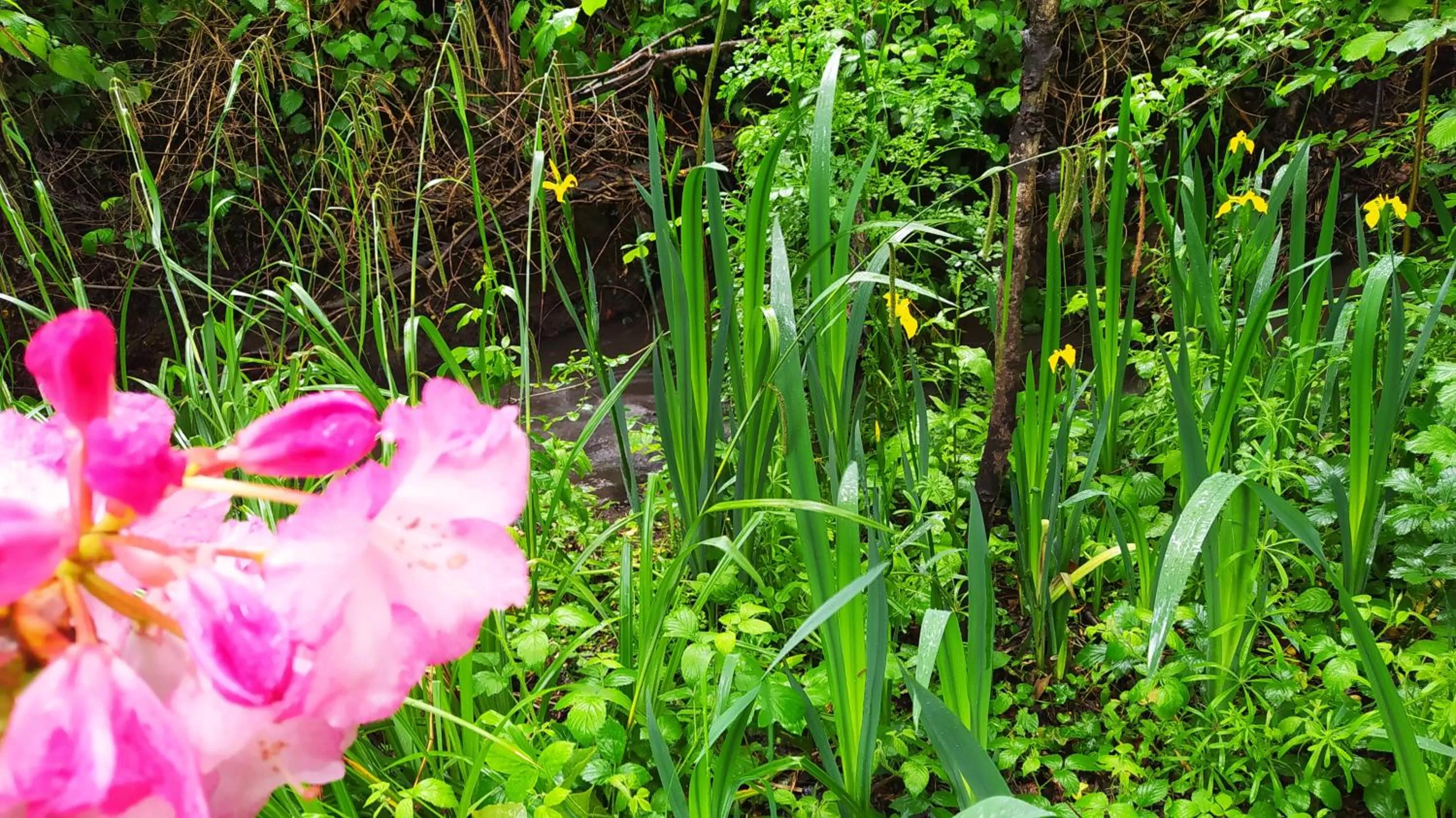 Garden view in Ker Anahid - L'Atelier