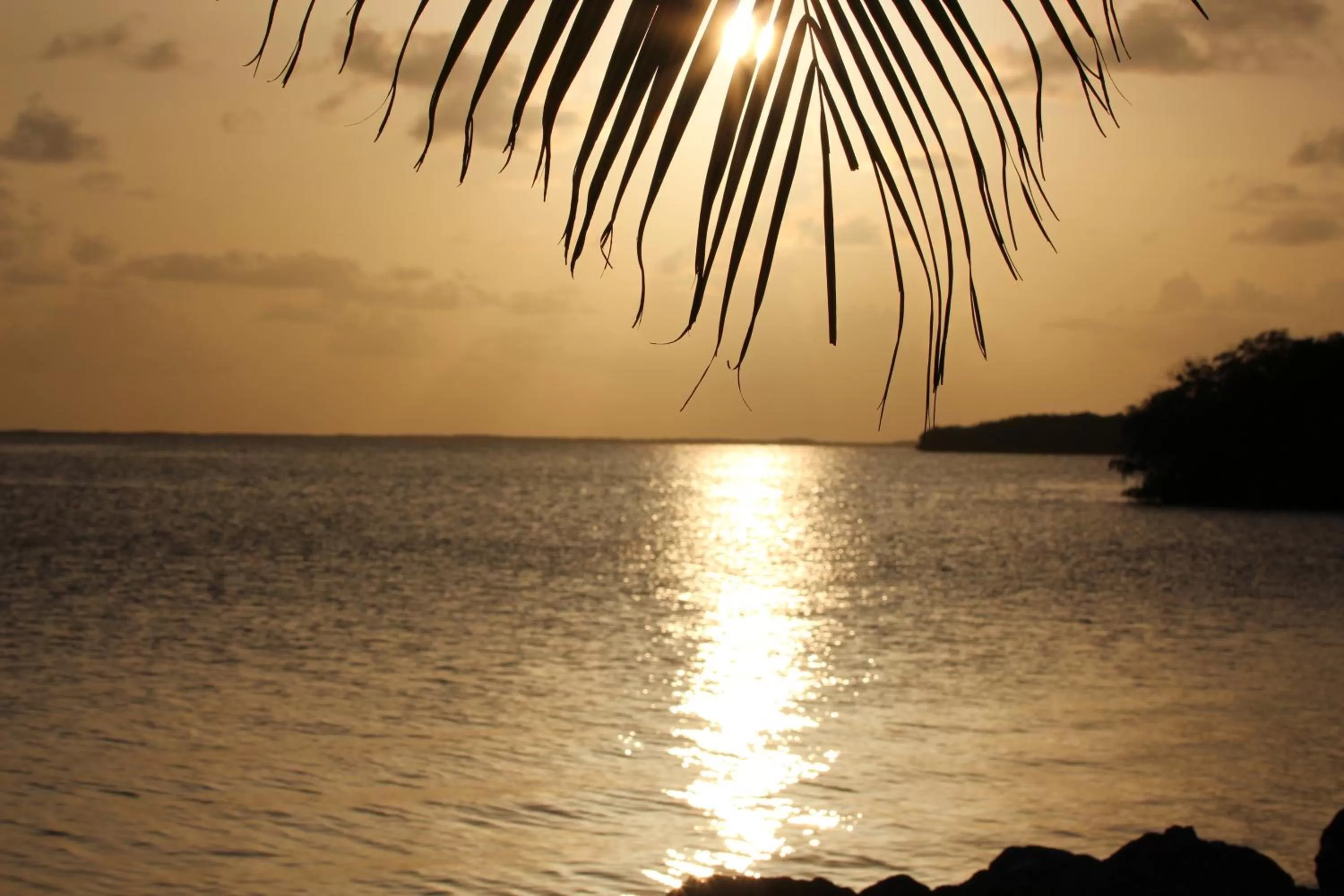Sunset in Gilbert's Resort & Marina