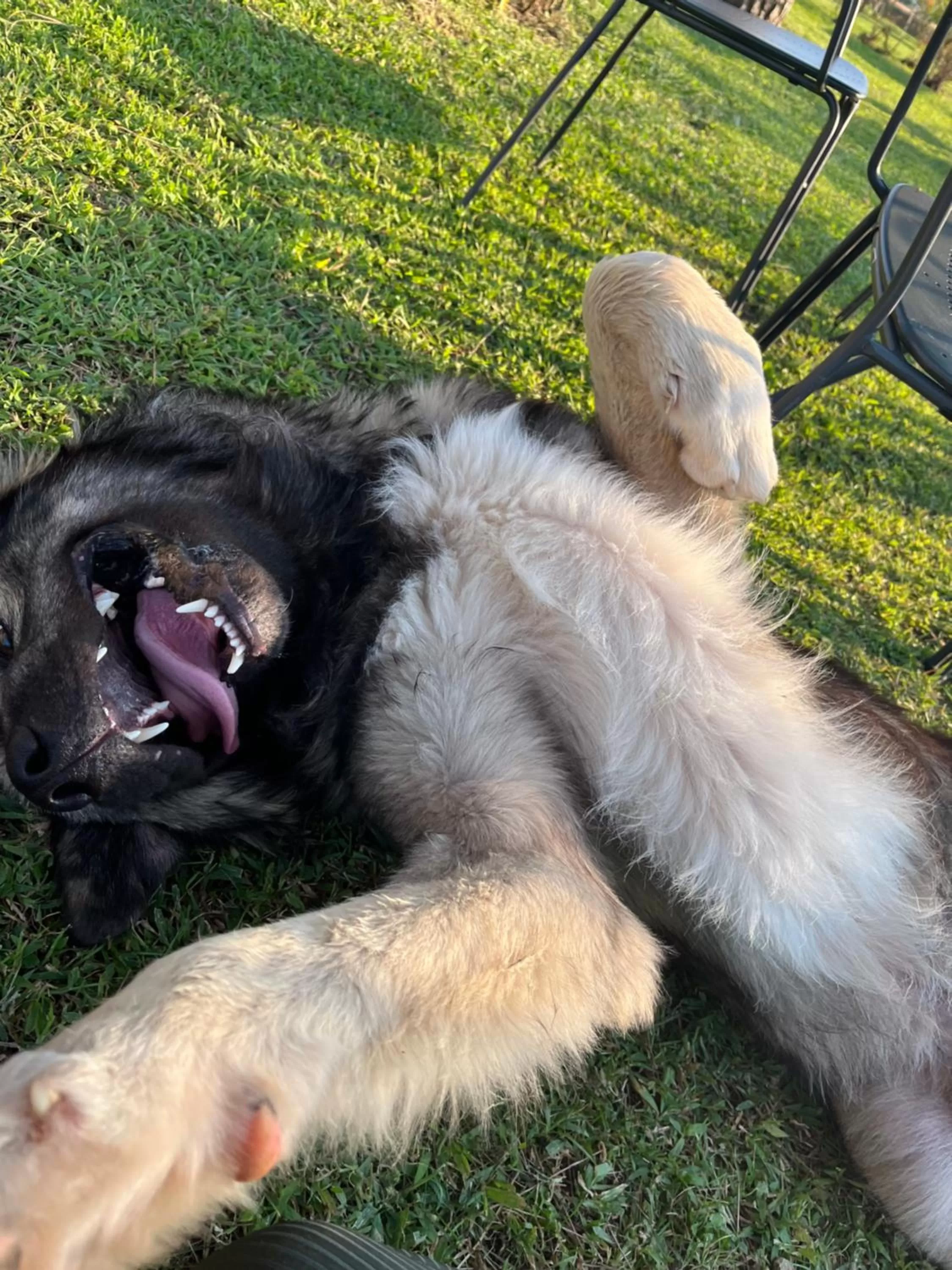 Villa Preselle Country Resort