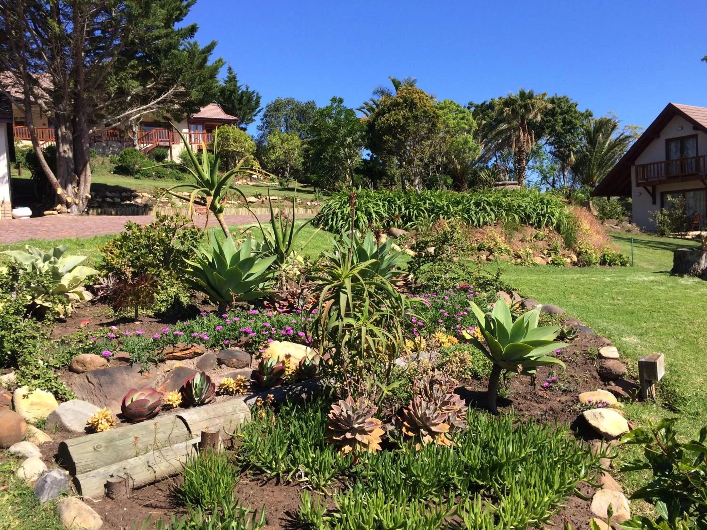 Garden in Fish Eagle Lodge