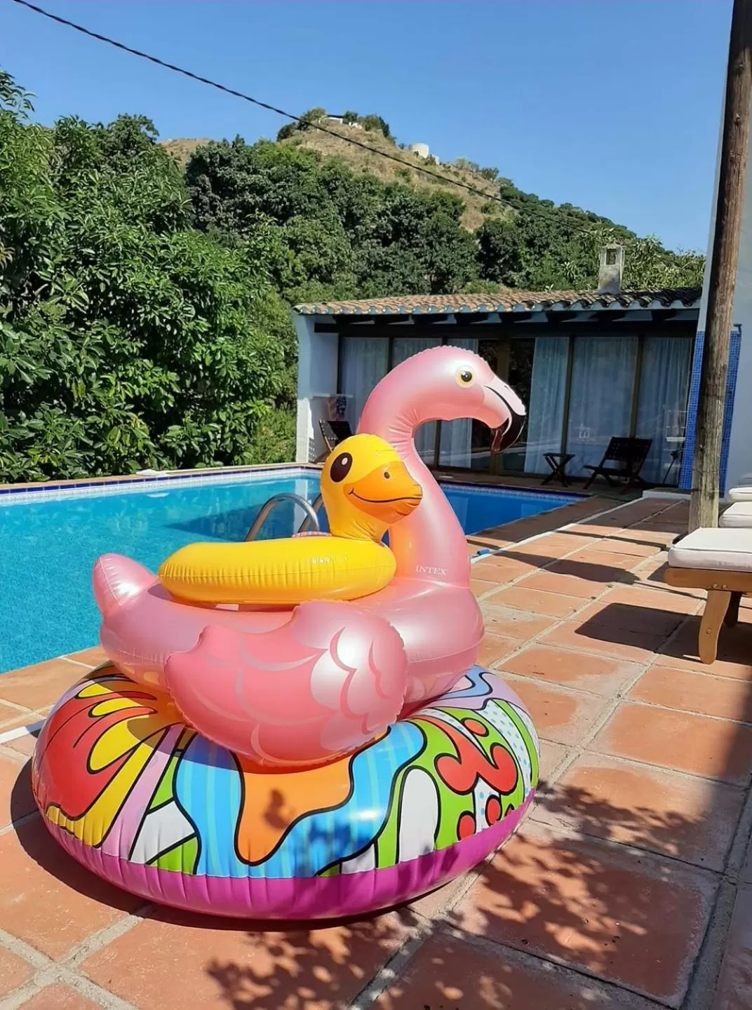 Swimming pool in B&B rural El Oasis