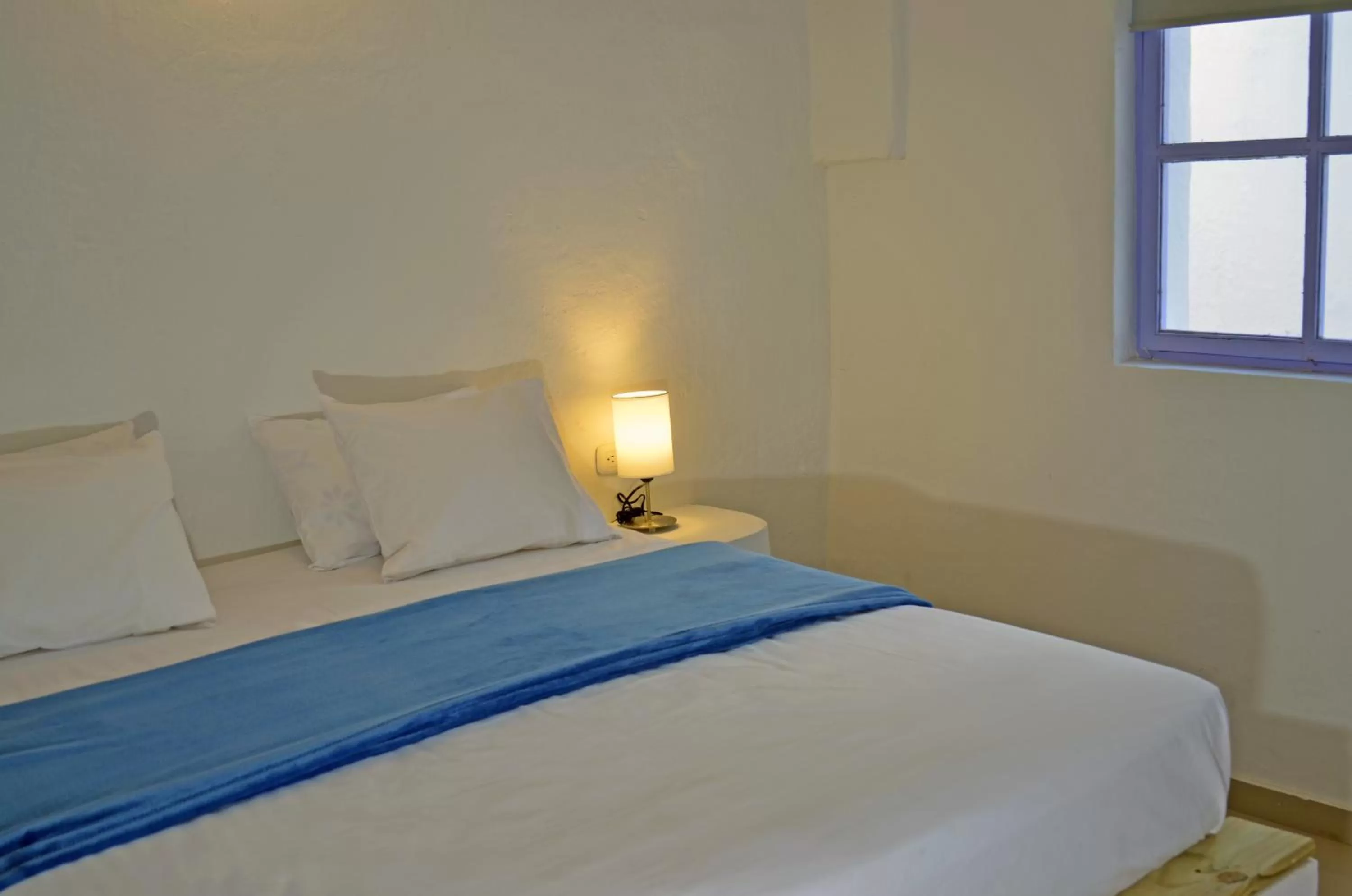 Staff, Bed in Faro de Alejandría Hostel