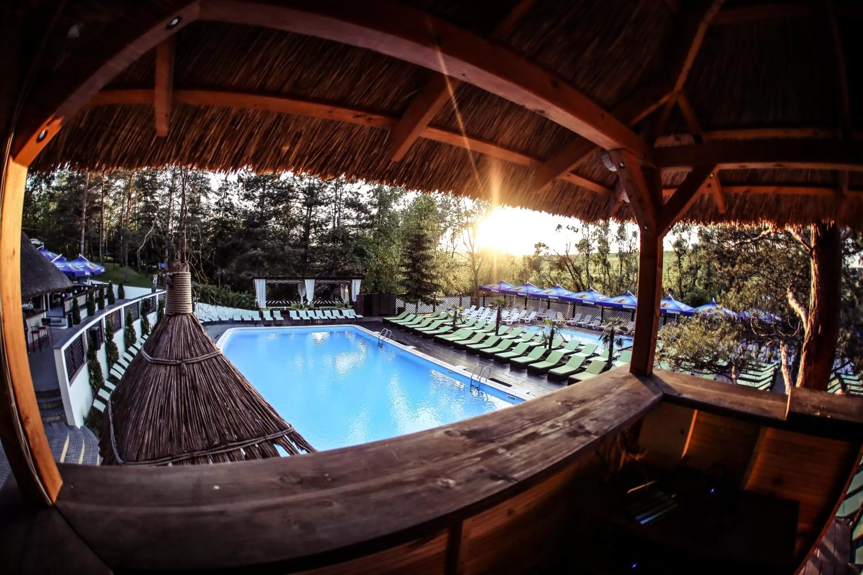 Pool View in Tree House Relax Park