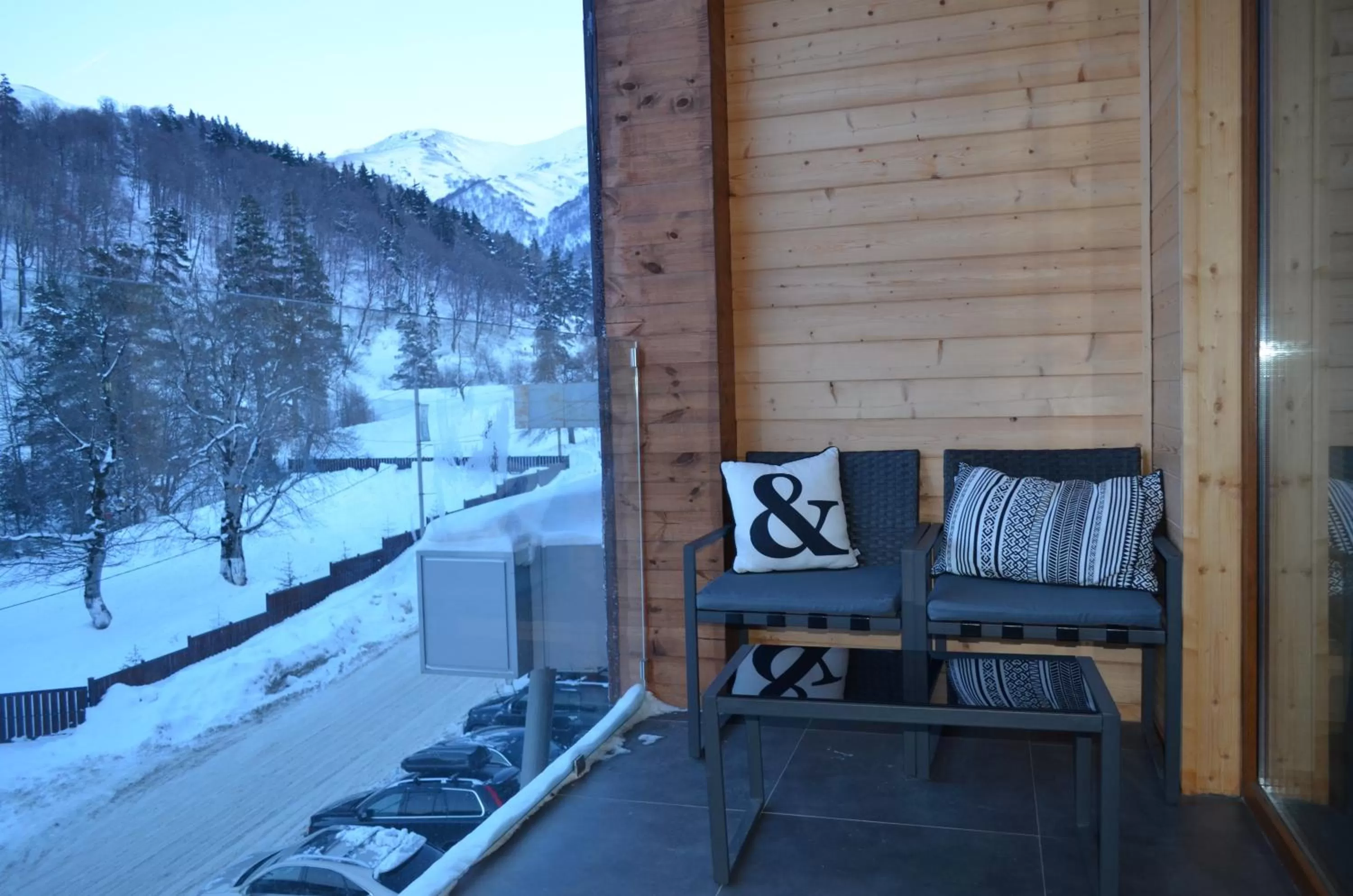 Decorative detail, Winter in Bakuriani the Valley 115 - 202